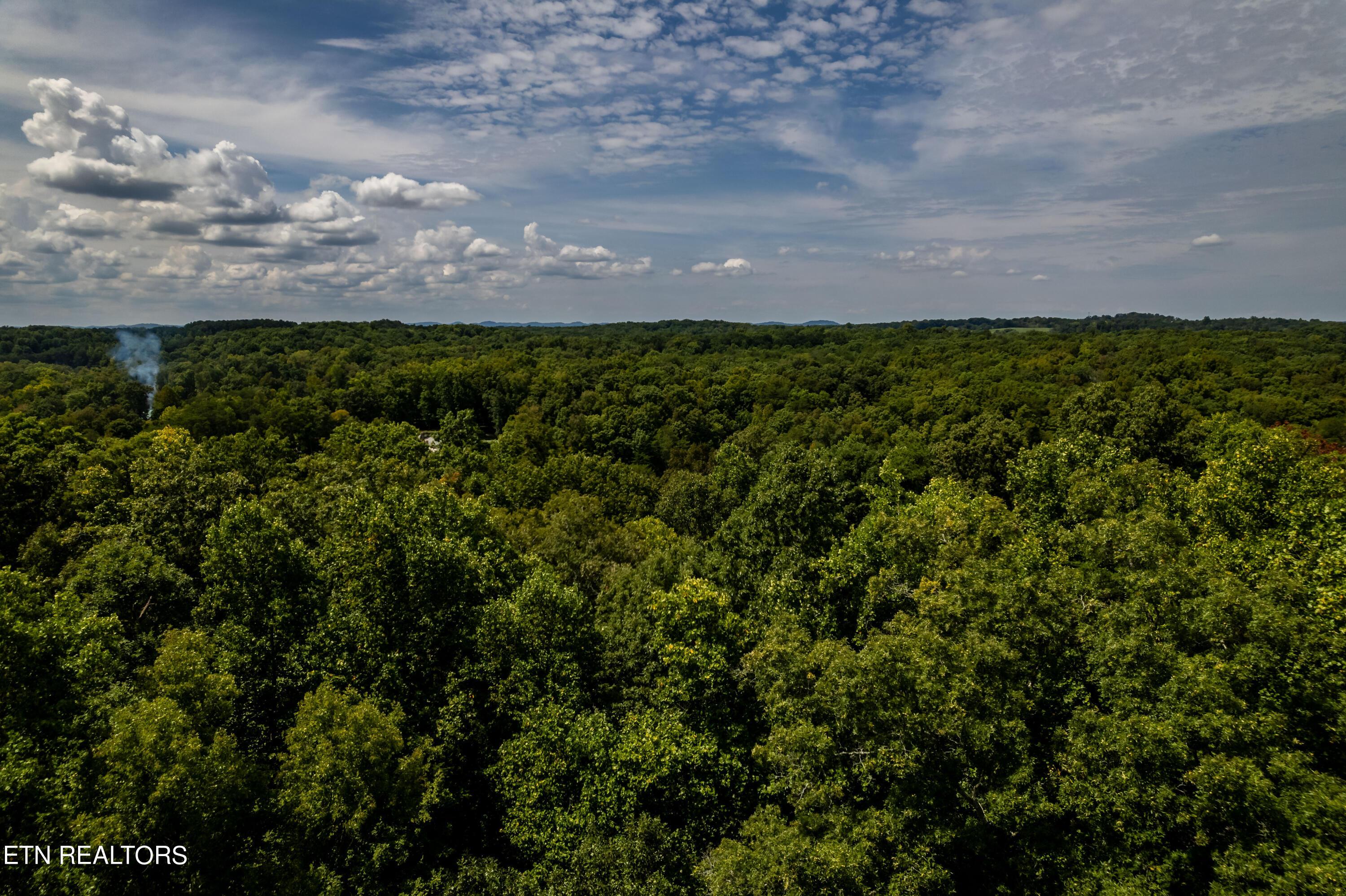 Fort Loudoun and Tellico Lake Real Estate - Image# 19