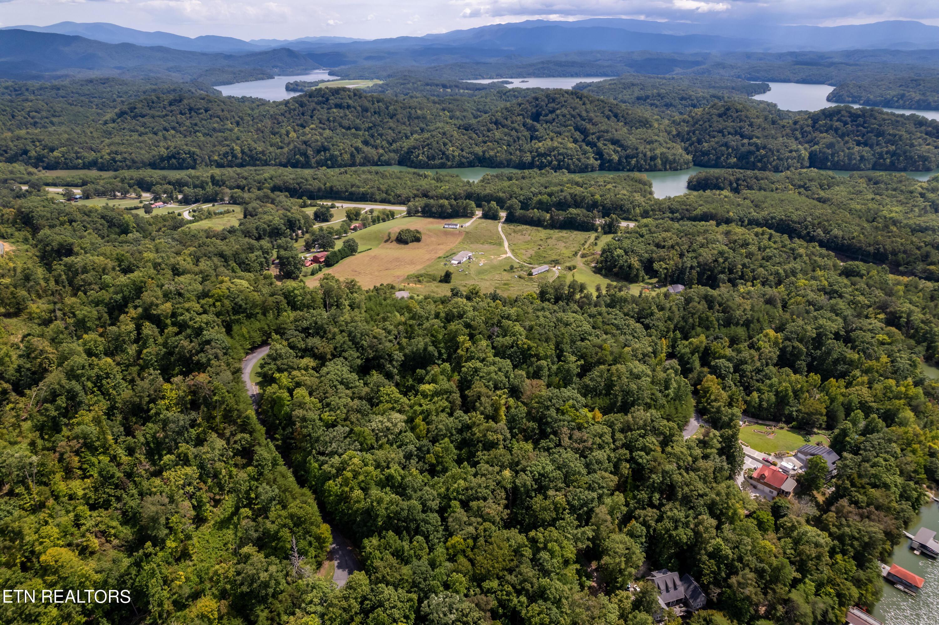 Fort Loudoun and Tellico Lake Real Estate - Image# 21