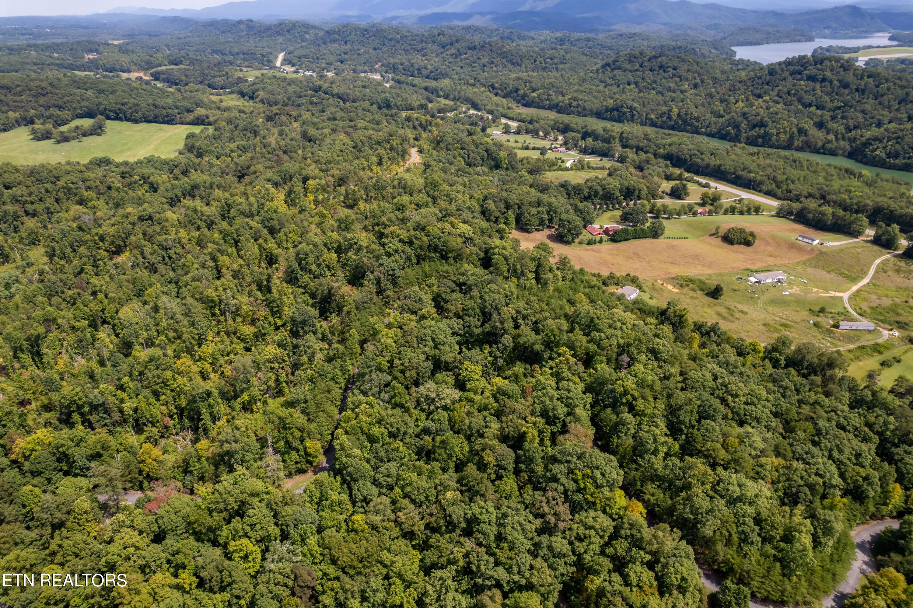 Fort Loudoun and Tellico Lake Real Estate - Image# 22