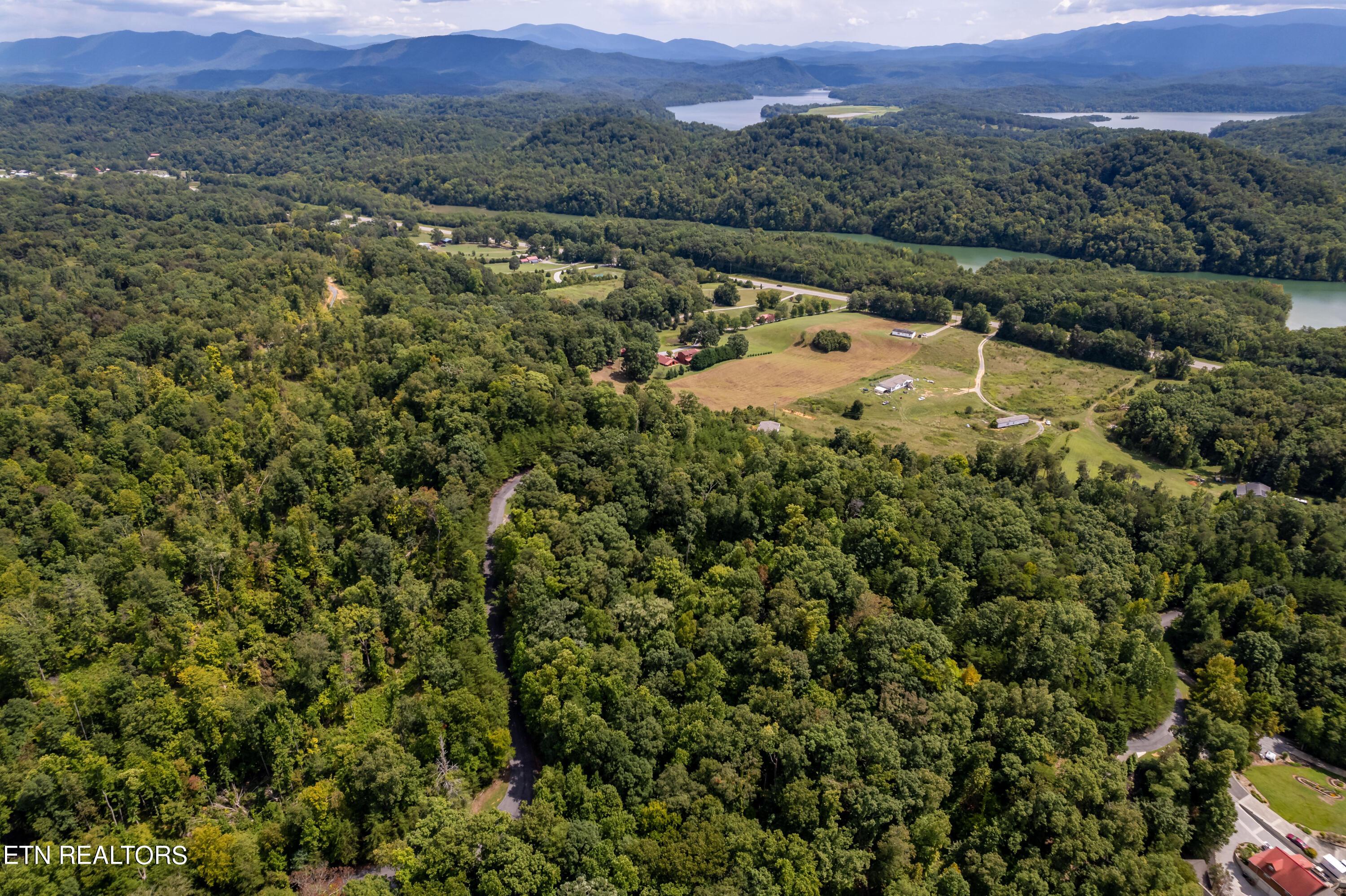 Fort Loudoun and Tellico Lake Real Estate - Image# 23