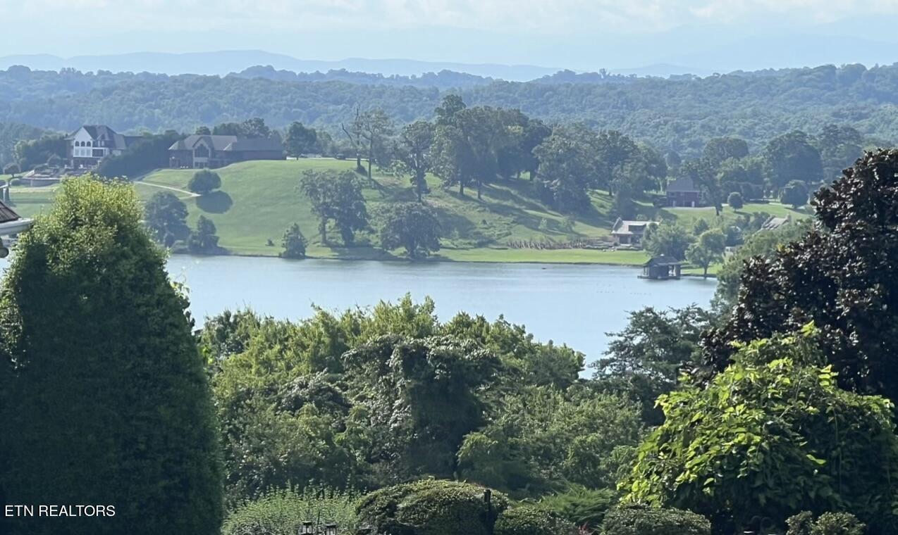 Fort Loudoun and Tellico Lake Real Estate - Image# 11