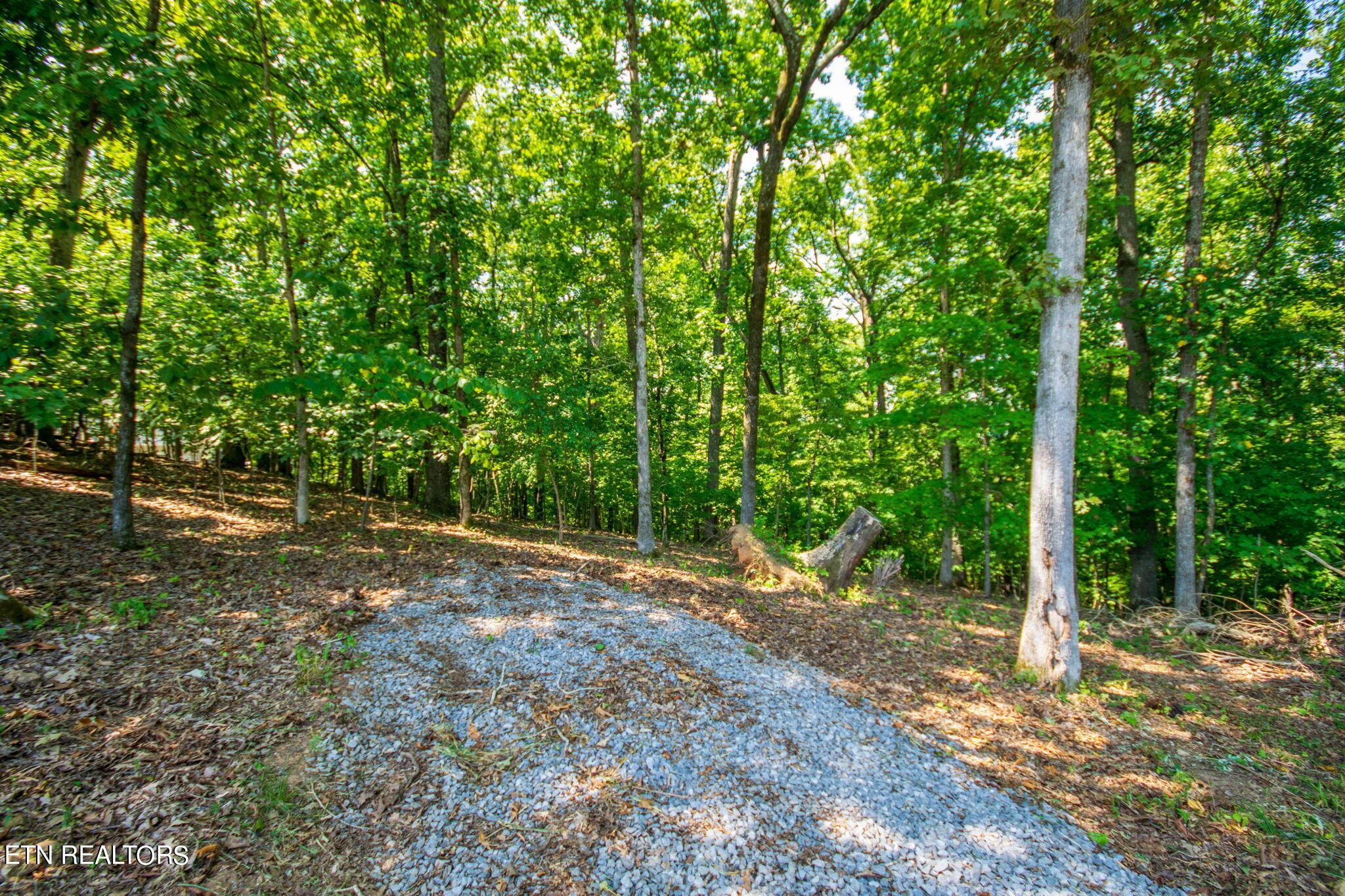 Fort Loudoun and Tellico Lake Real Estate - Image# 4