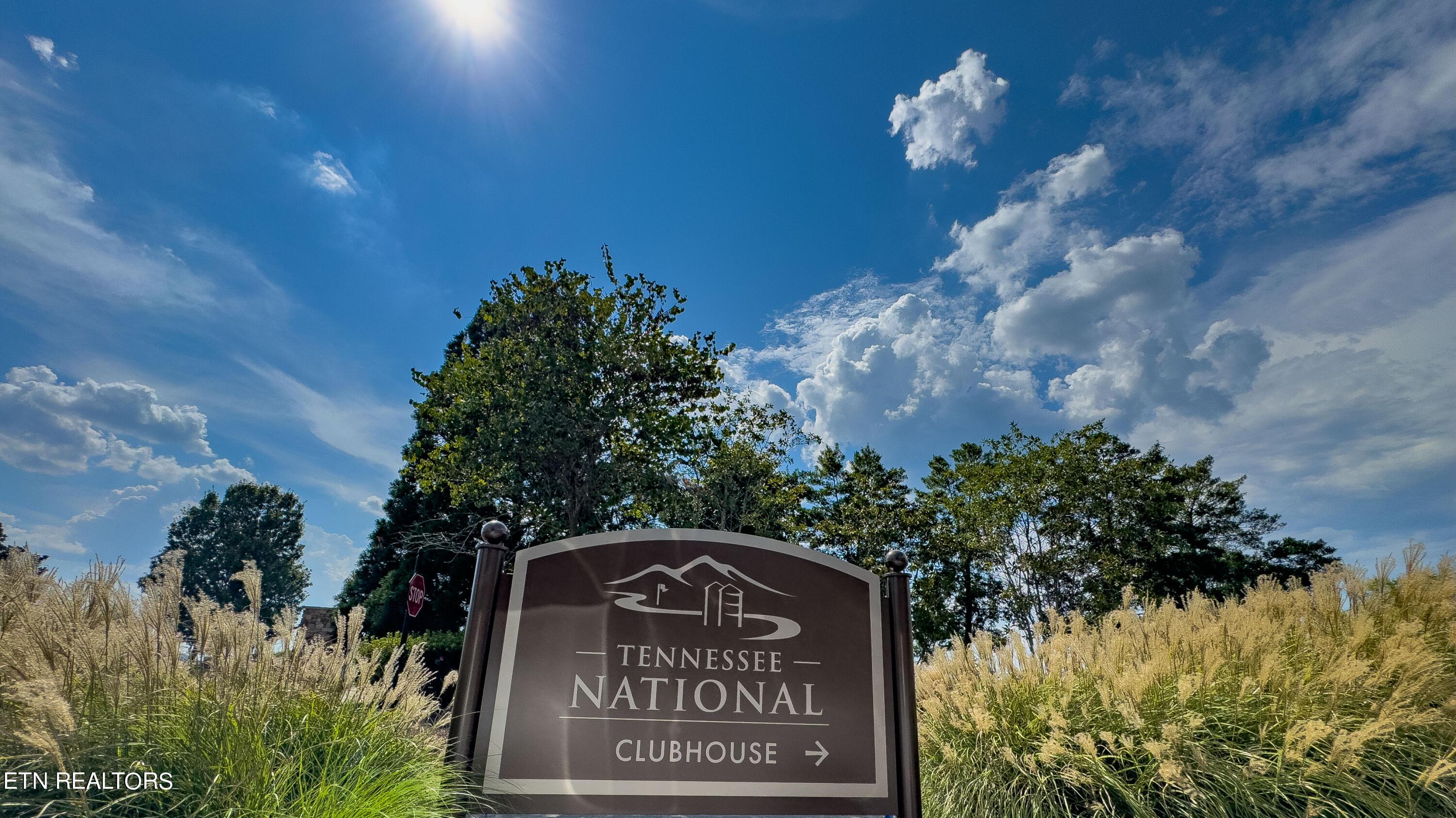 Fort Loudoun and Tellico Lake Real Estate - Image# 7