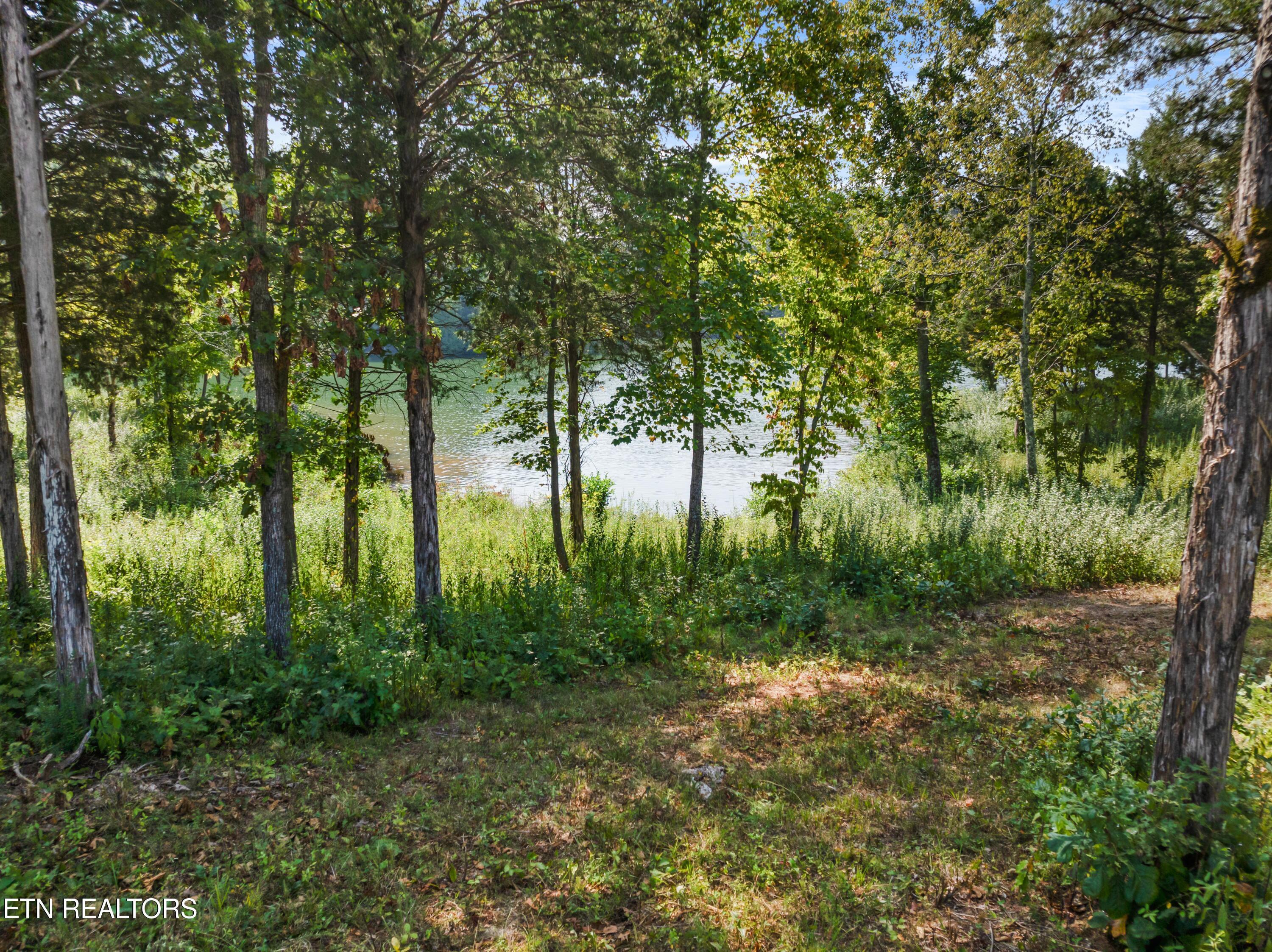 Fort Loudoun and Tellico Lake Real Estate - Image# 6