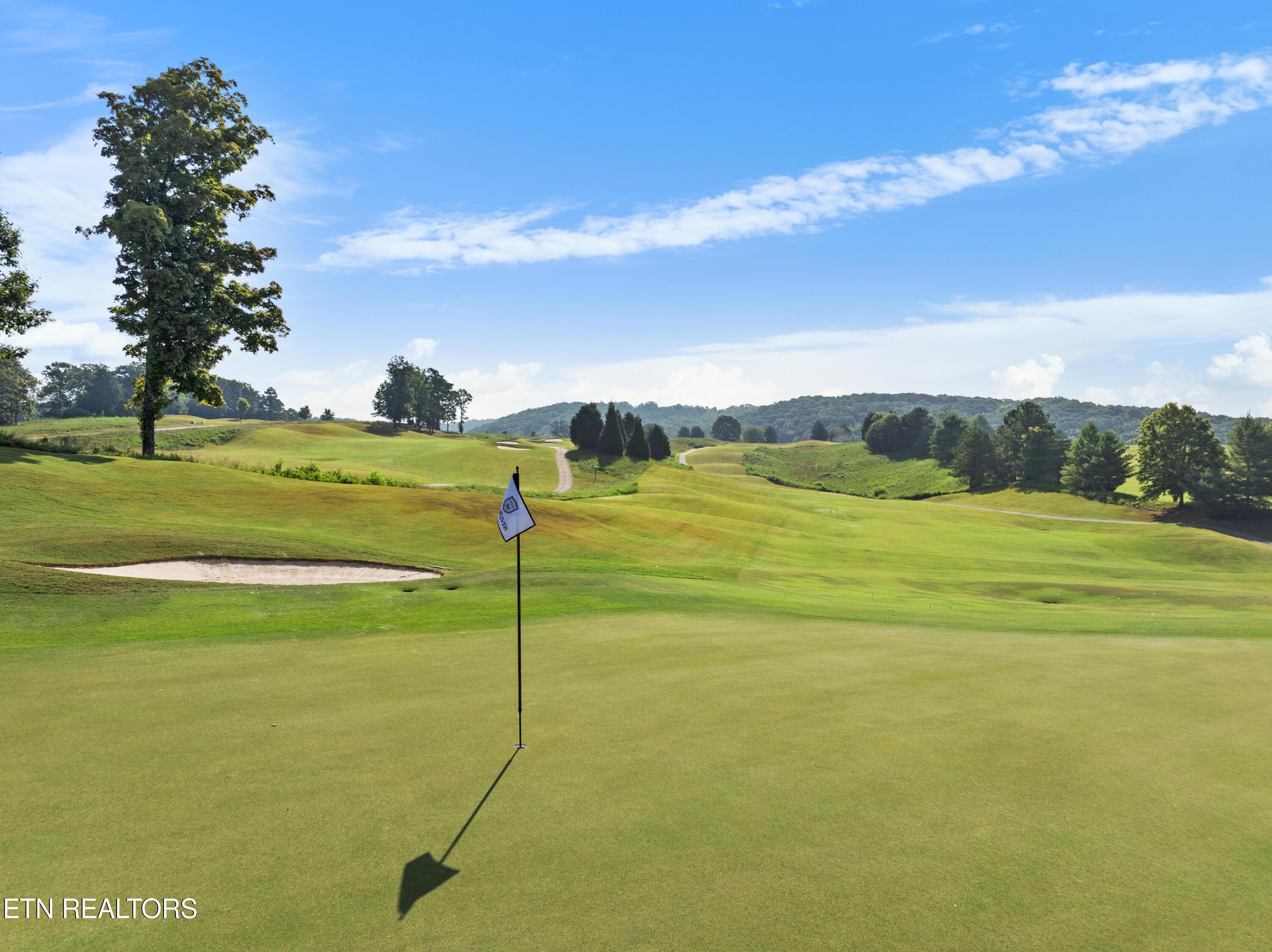 Fort Loudoun and Tellico Lake Real Estate - Image# 8