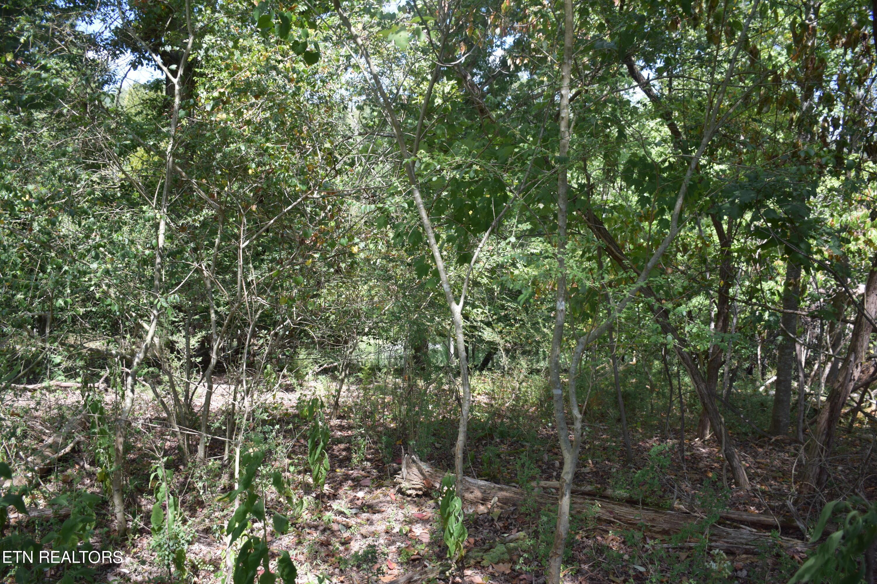 Fort Loudoun and Tellico Lake Real Estate - Image# 3
