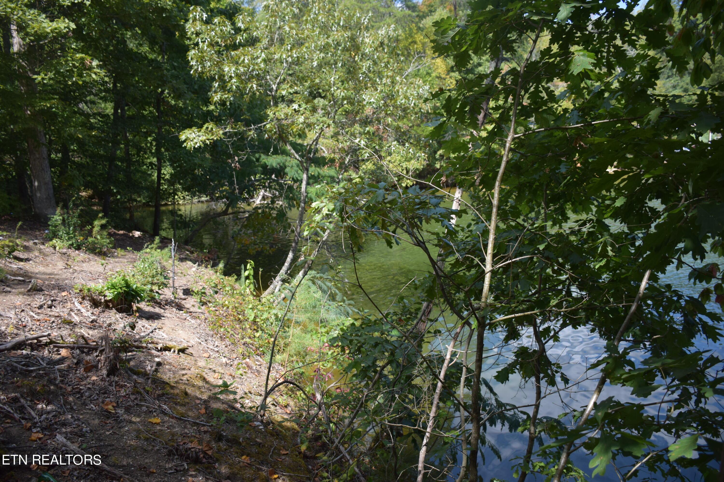 Fort Loudoun and Tellico Lake Real Estate - Image# 5