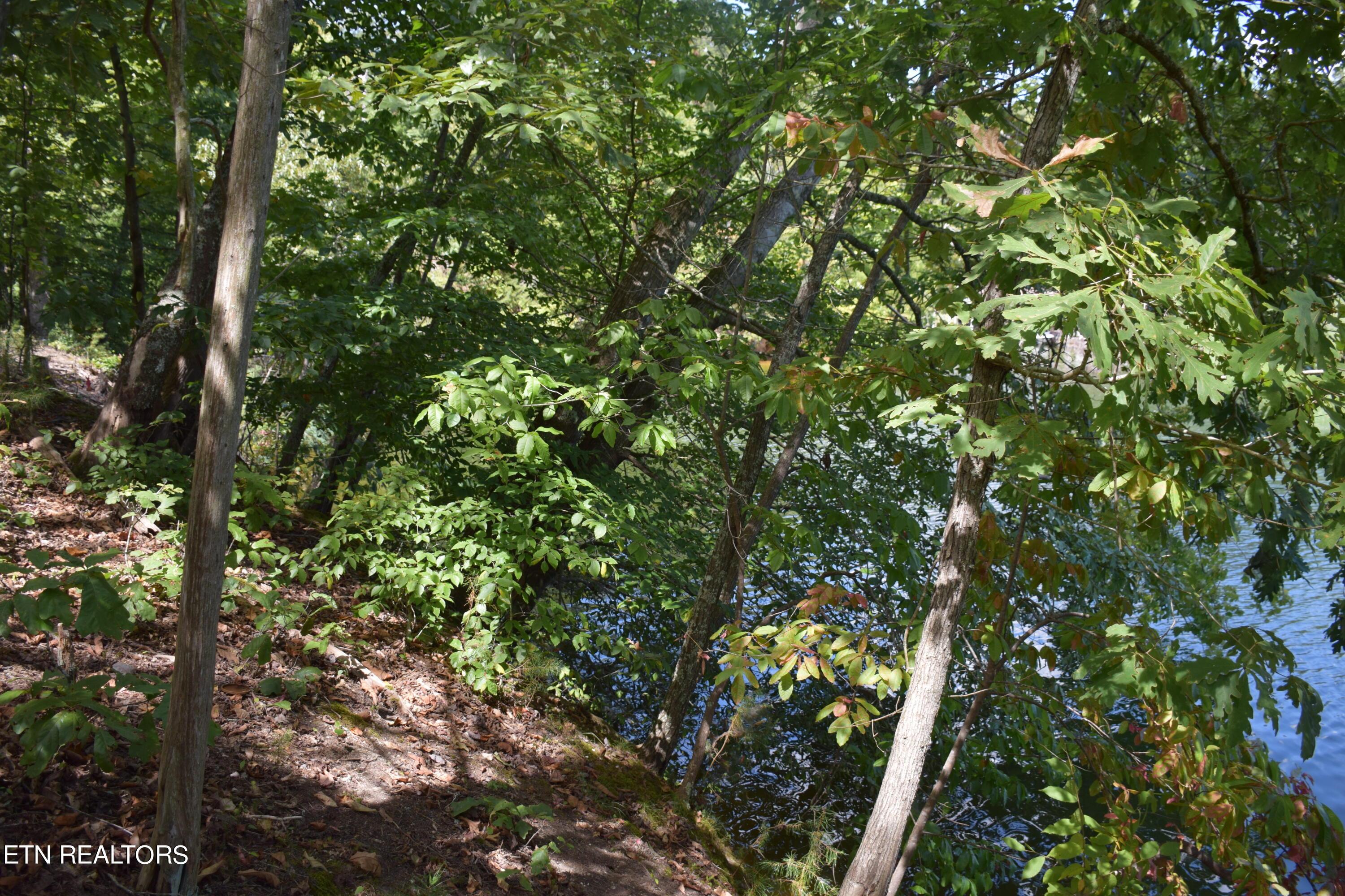 Fort Loudoun and Tellico Lake Real Estate - Image# 6