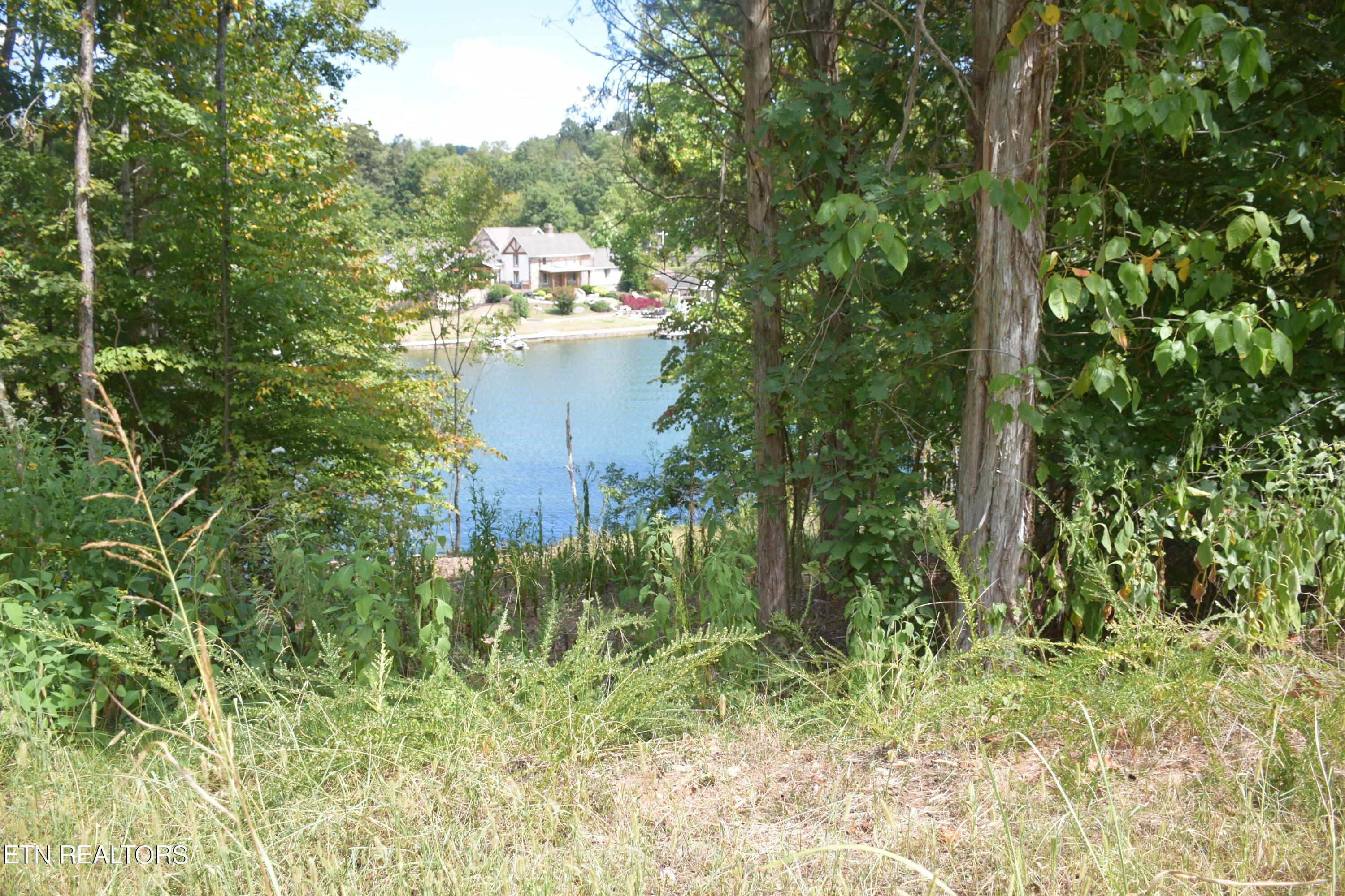 Fort Loudoun and Tellico Lake Real Estate - Image# 8