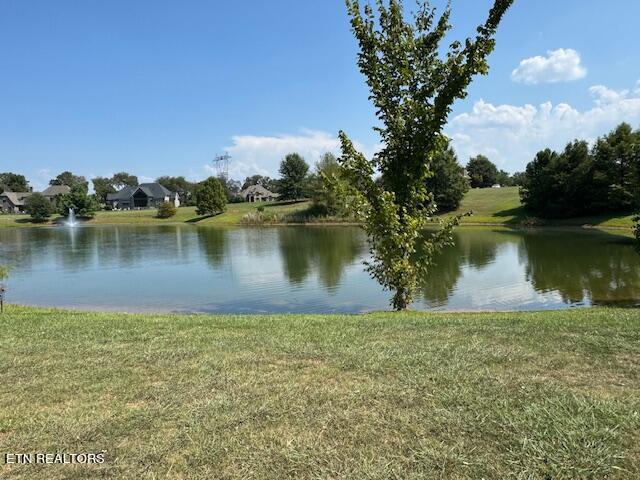 Fort Loudoun and Tellico Lake Real Estate - Image# 4