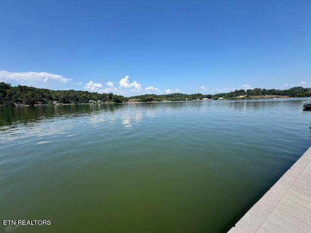 Fort Loudoun and Tellico Lake Real Estate - Image# 12
