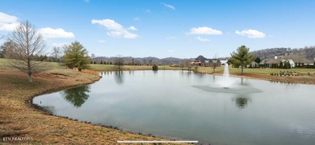Fort Loudoun and Tellico Lake Real Estate - Image# 5