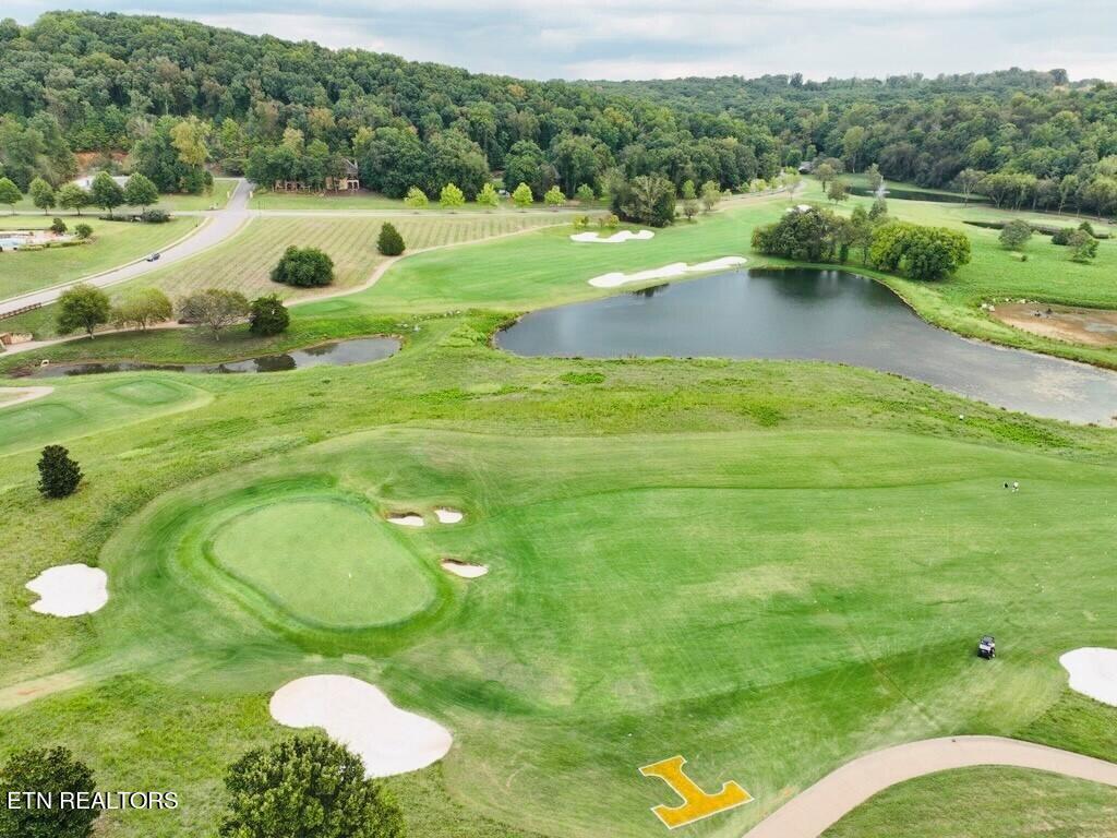 Fort Loudoun and Tellico Lake Real Estate - Image# 8