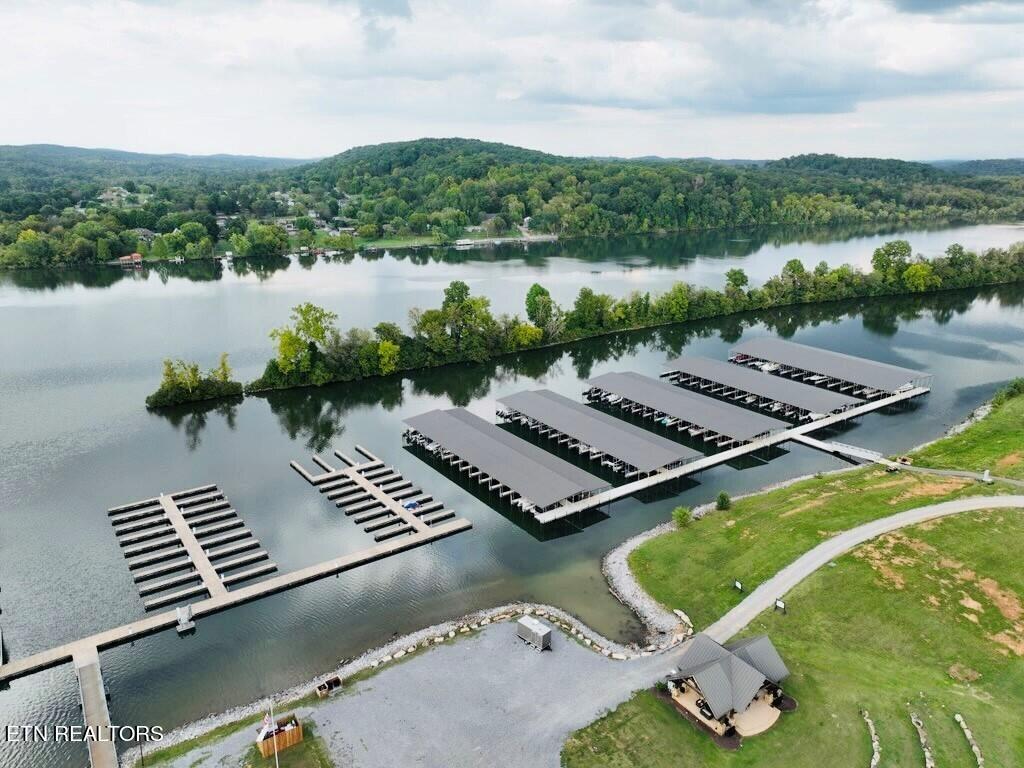 Fort Loudoun and Tellico Lake Real Estate - Image# 10