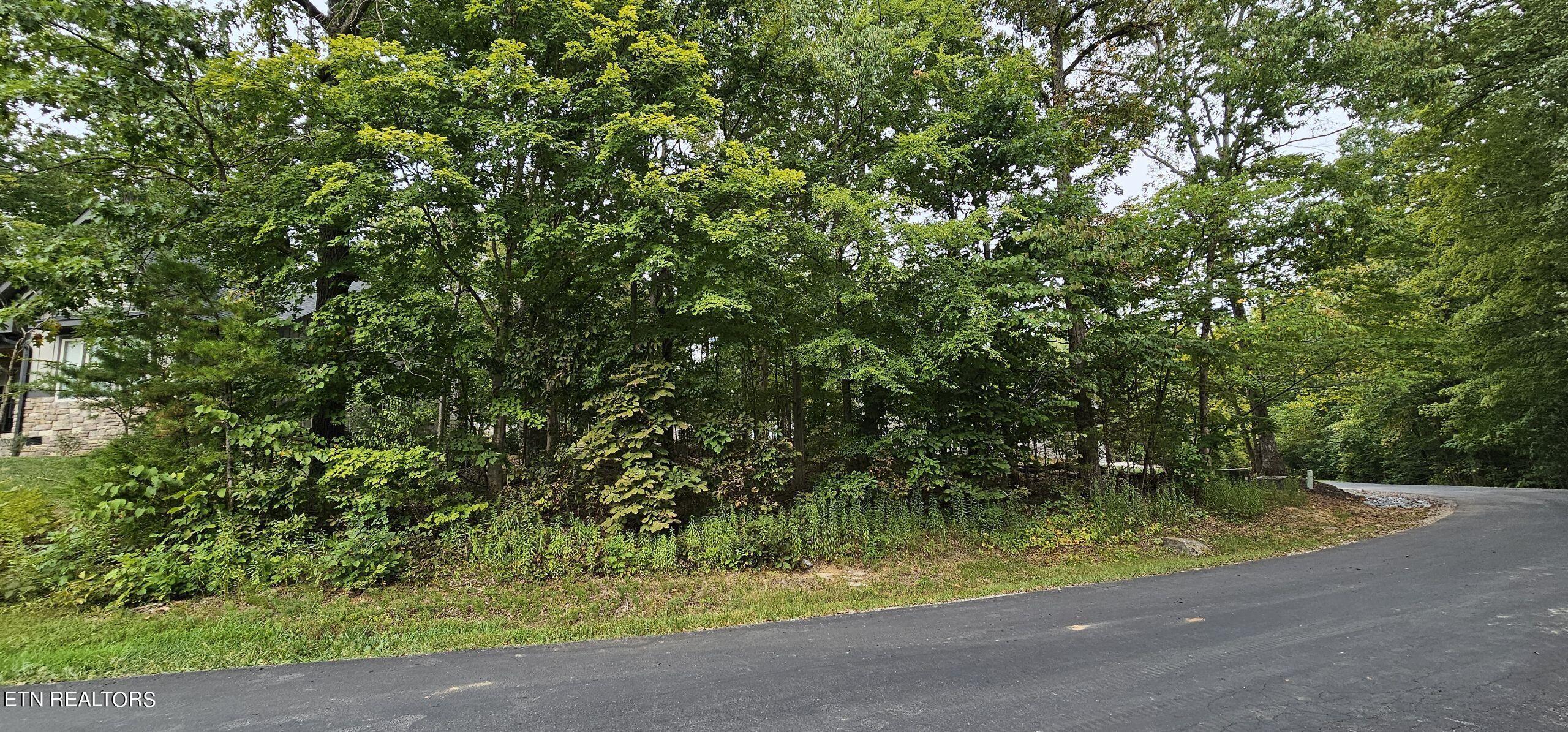 Fort Loudoun and Tellico Lake Real Estate - Image# 1