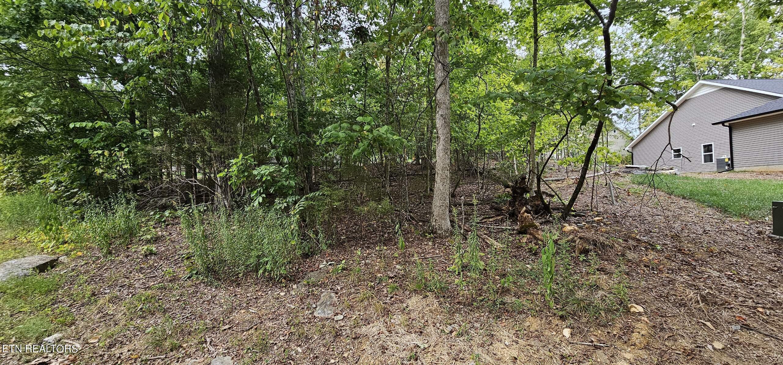 Fort Loudoun and Tellico Lake Real Estate - Image# 5