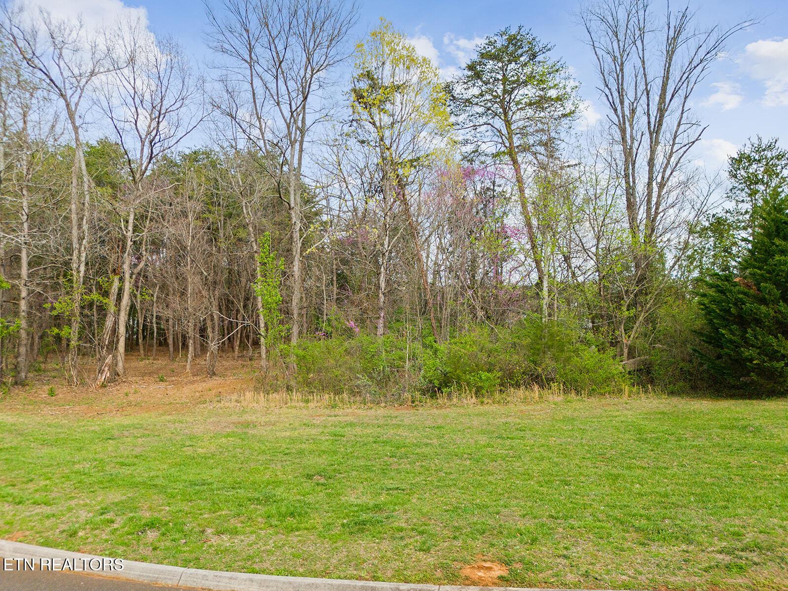 Fort Loudoun and Tellico Lake Real Estate - Image# 31