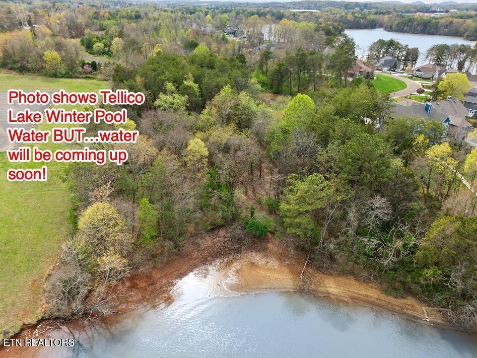 Fort Loudoun and Tellico Lake Real Estate - Image# 8