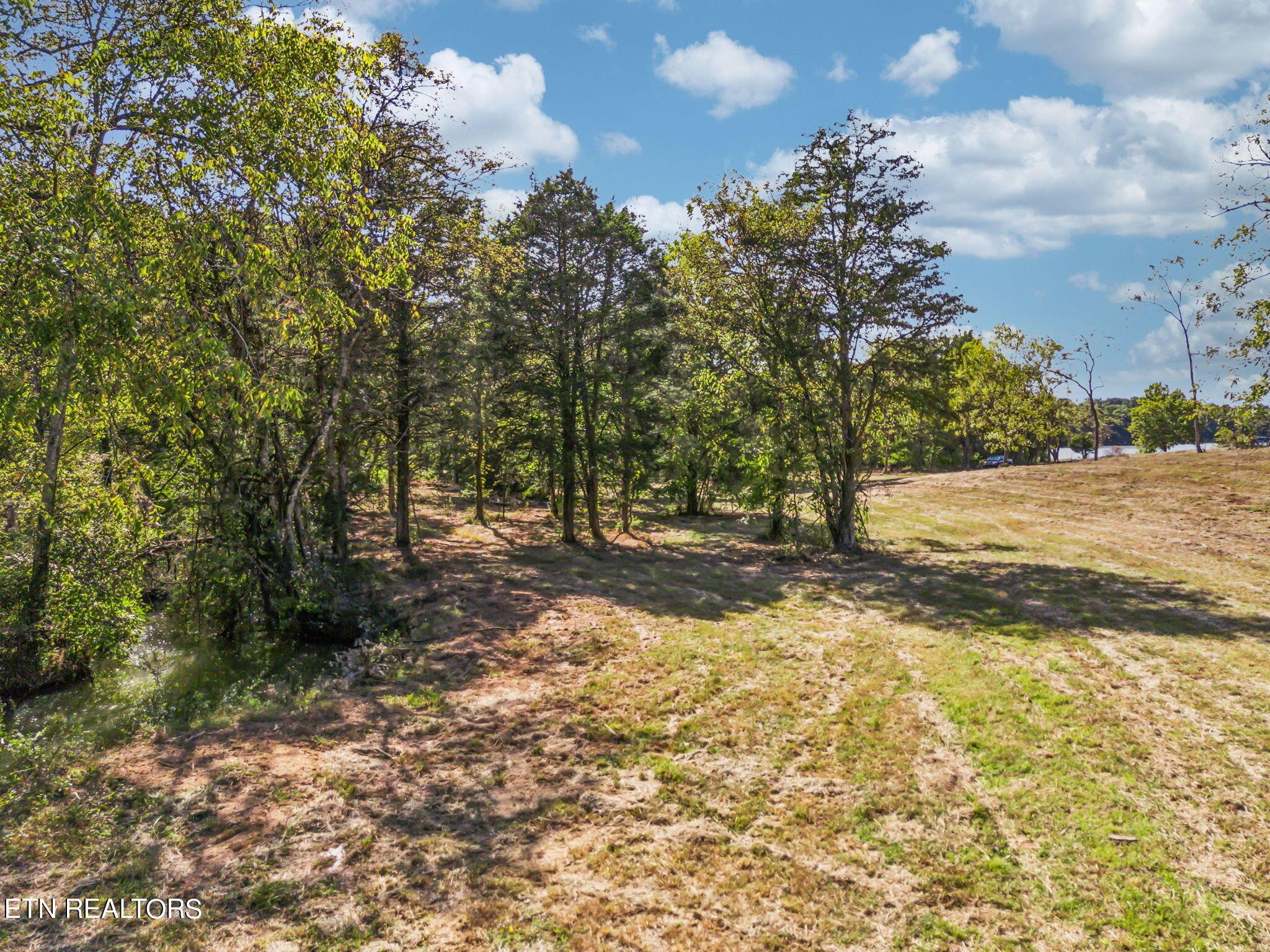 Fort Loudoun and Tellico Lake Real Estate - Image# 8