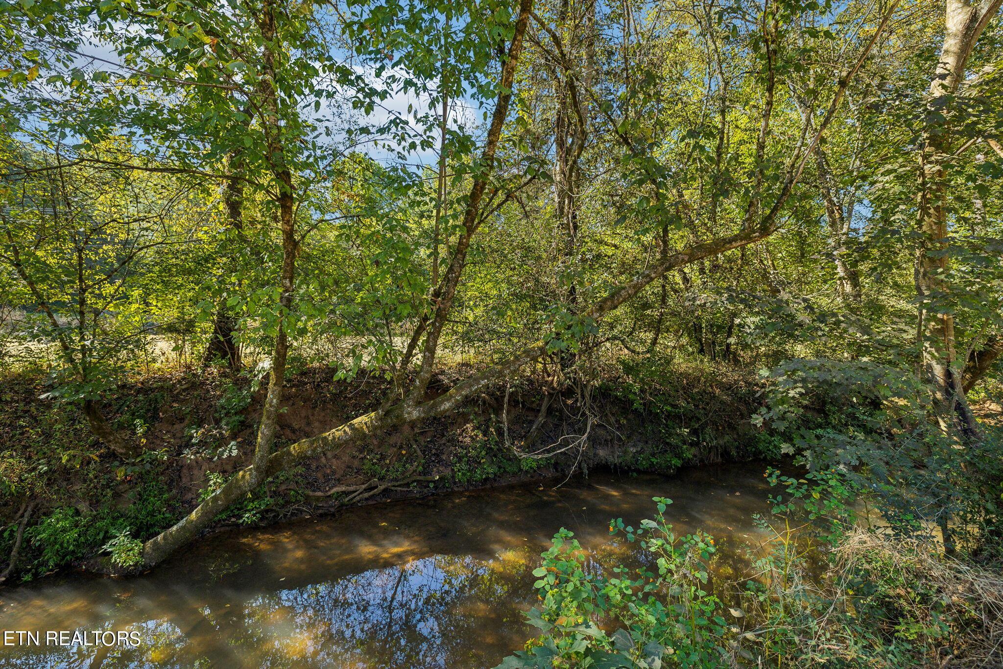 Fort Loudoun and Tellico Lake Real Estate - Image# 9