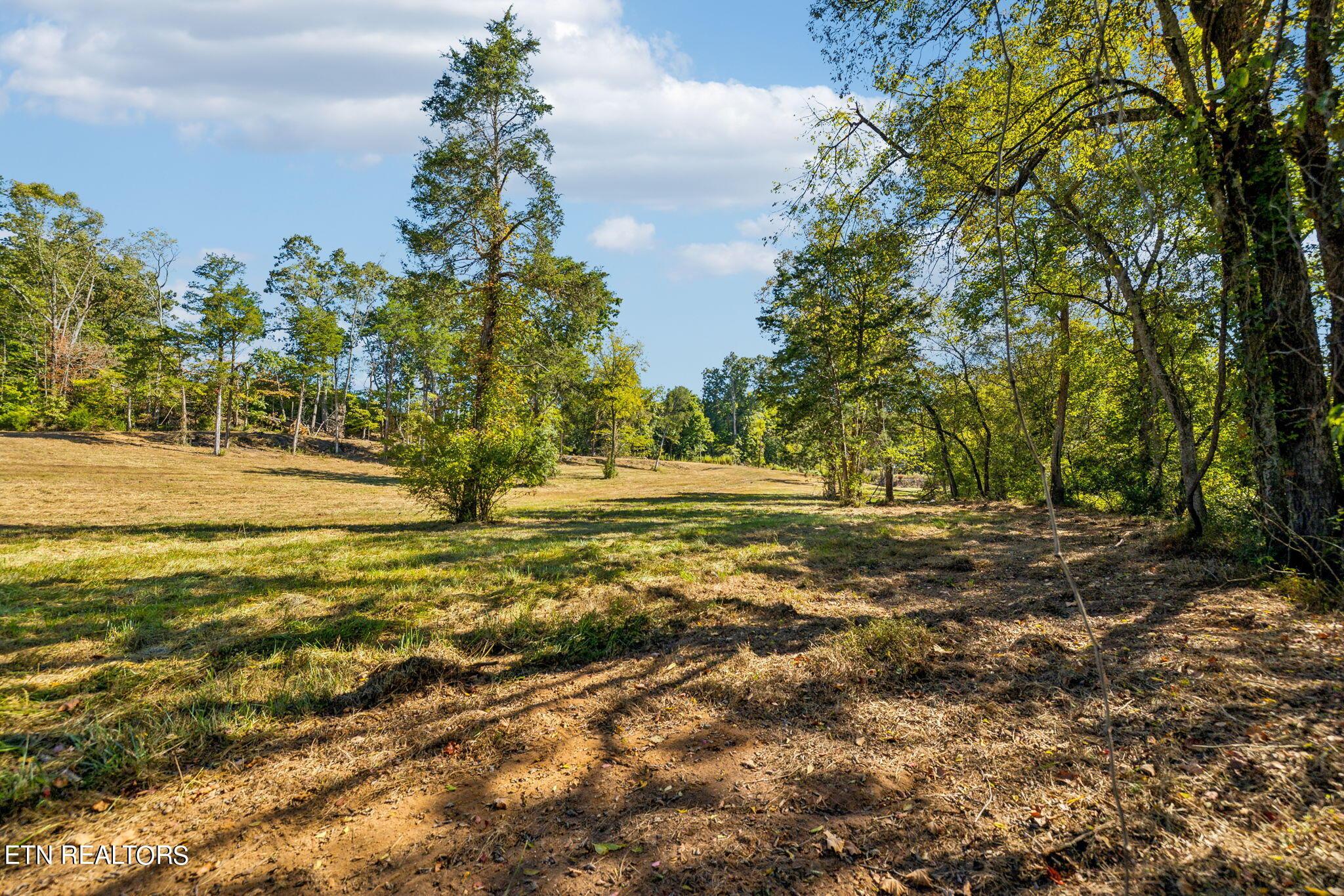 Fort Loudoun and Tellico Lake Real Estate - Image# 11