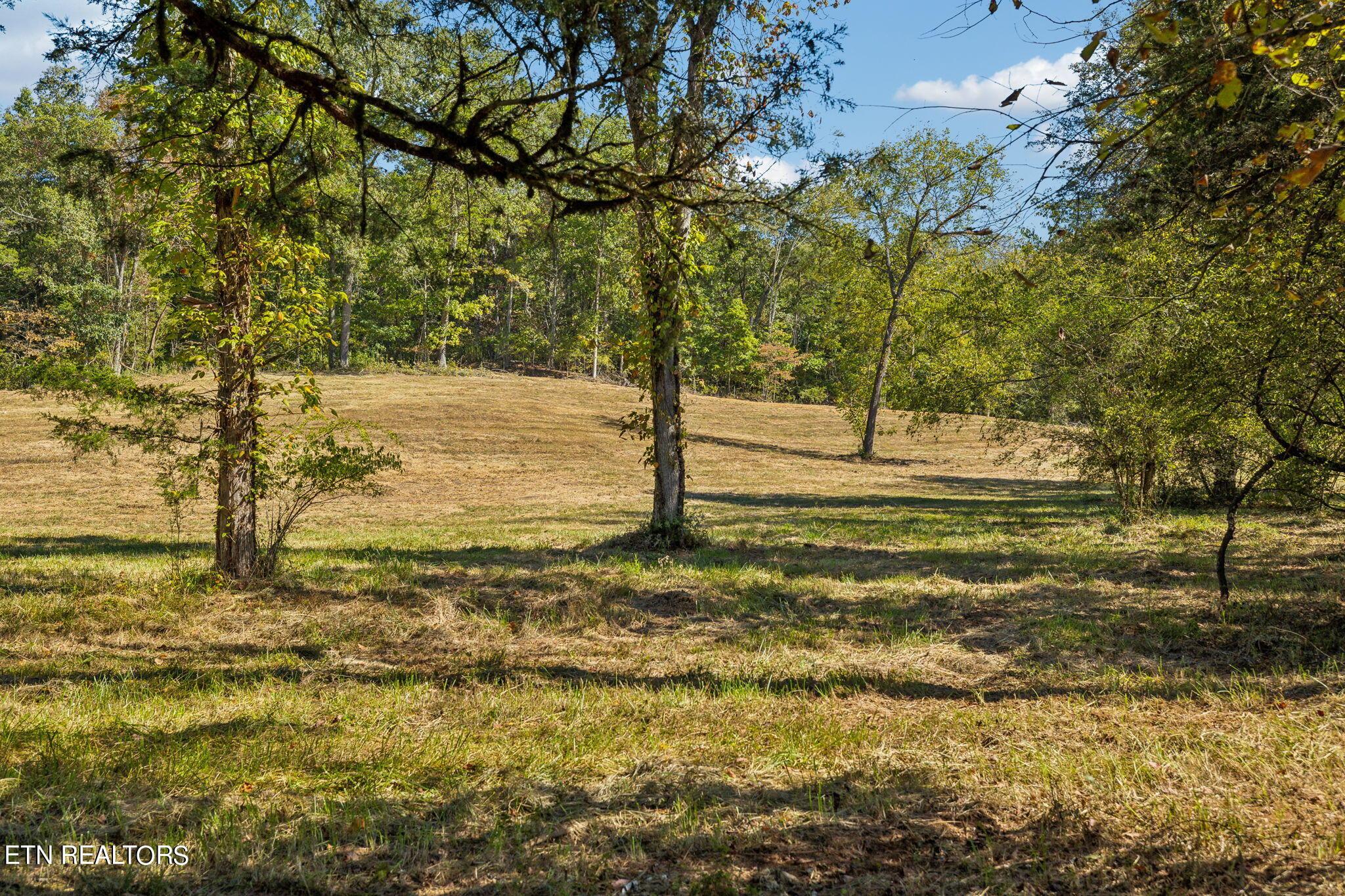 Fort Loudoun and Tellico Lake Real Estate - Image# 12