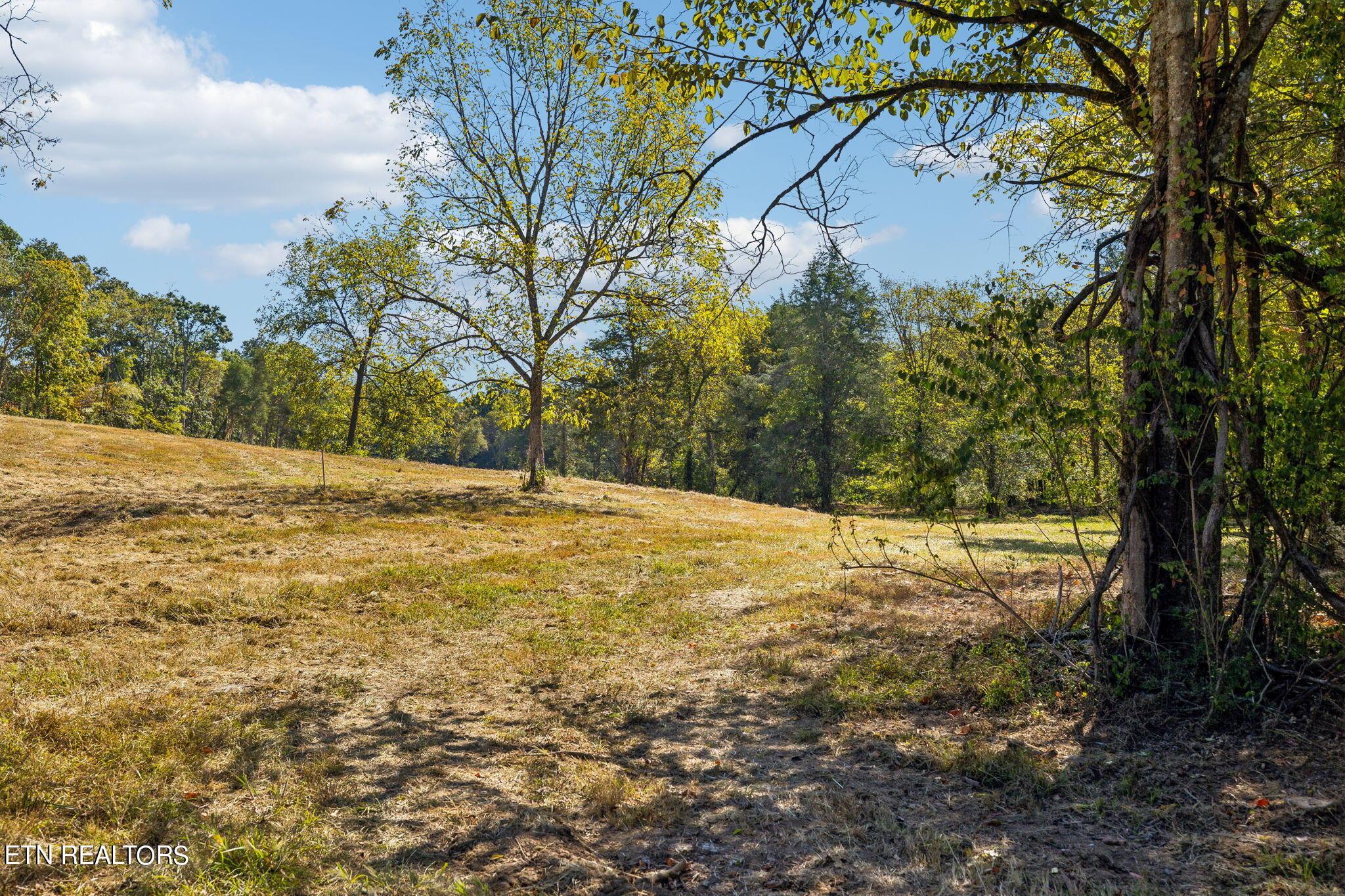 Fort Loudoun and Tellico Lake Real Estate - Image# 13