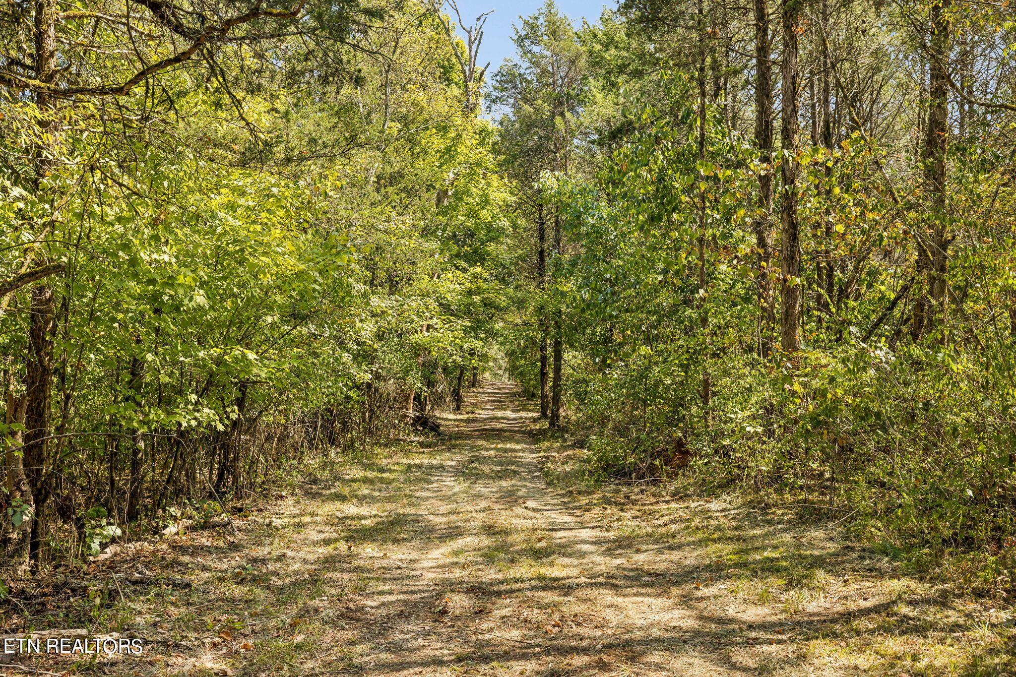 Fort Loudoun and Tellico Lake Real Estate - Image# 15