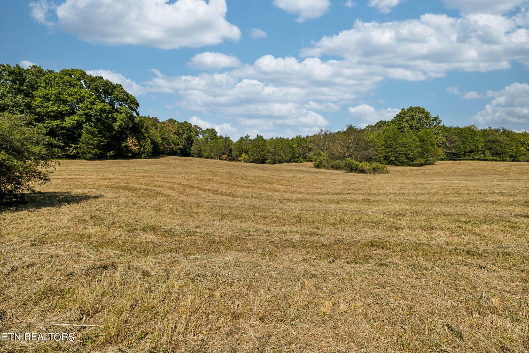 Fort Loudoun and Tellico Lake Real Estate - Image# 19