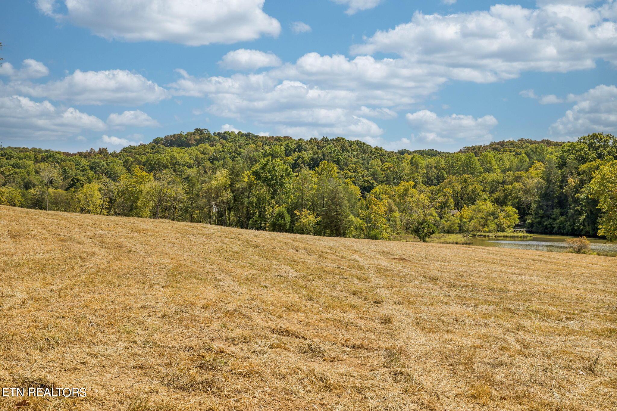 Fort Loudoun and Tellico Lake Real Estate - Image# 20