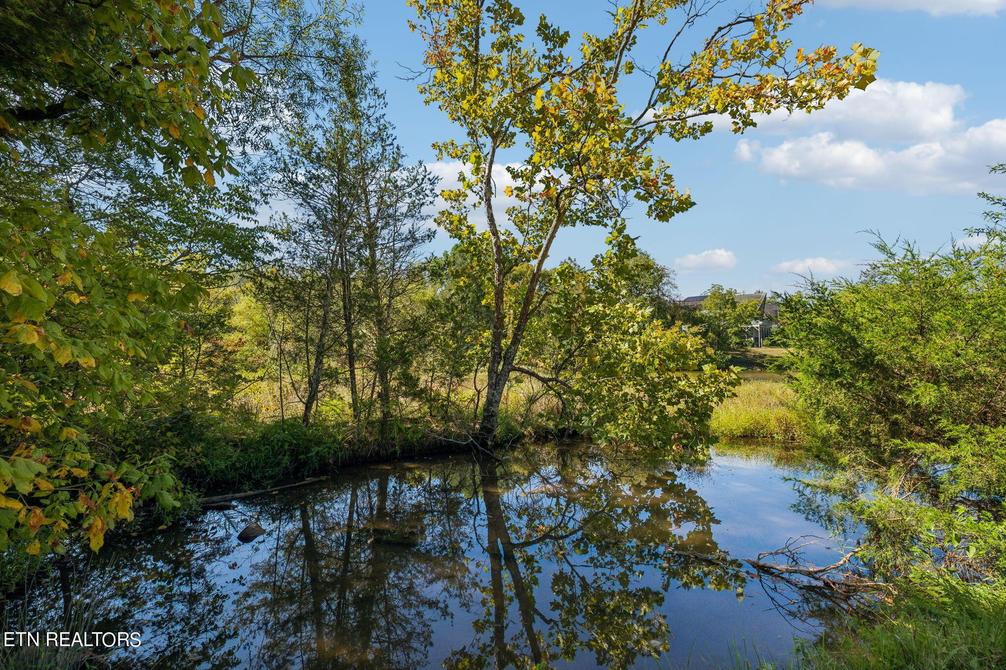 Fort Loudoun and Tellico Lake Real Estate - Image# 27