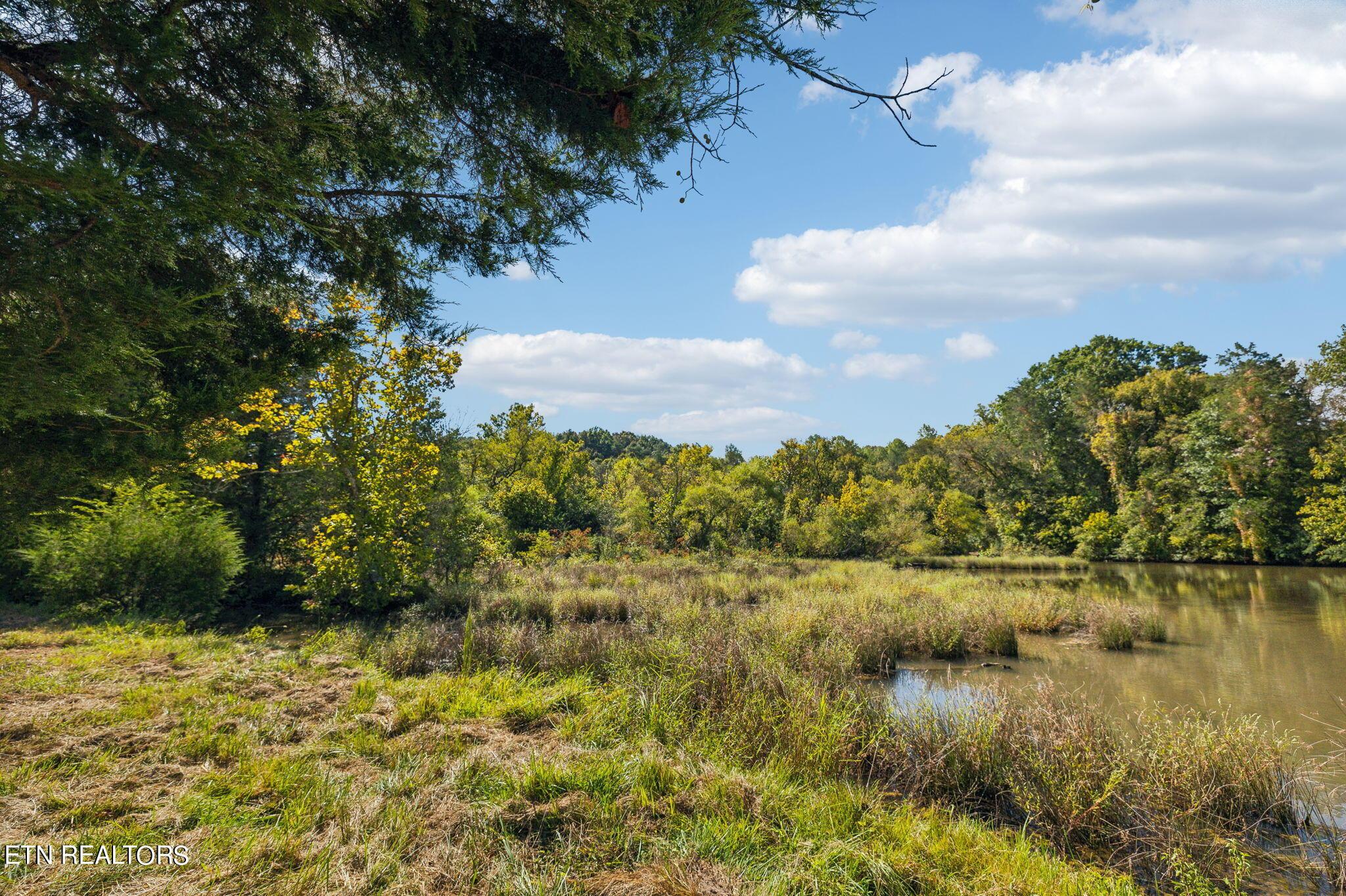 Fort Loudoun and Tellico Lake Real Estate - Image# 28