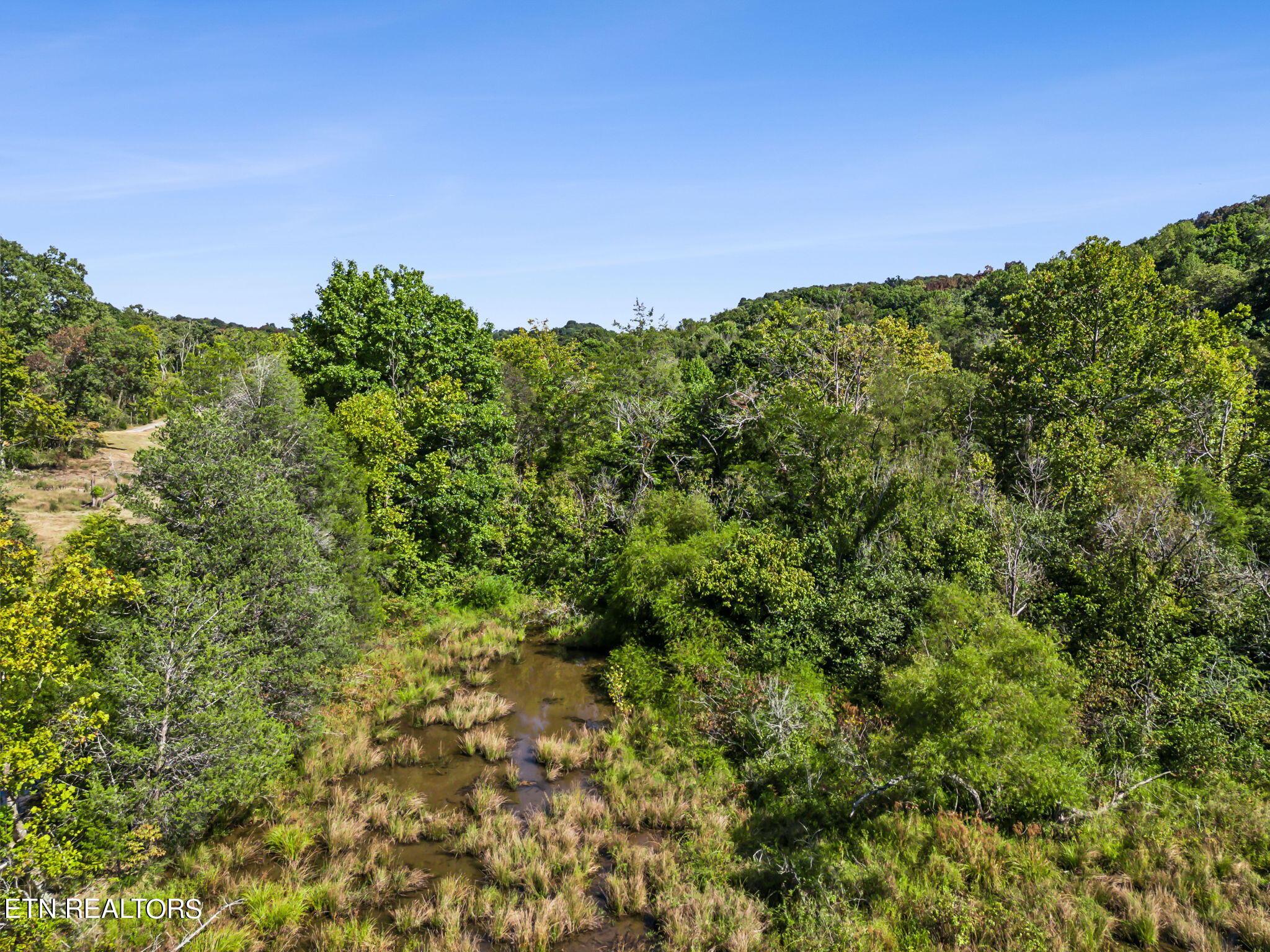 Fort Loudoun and Tellico Lake Real Estate - Image# 29