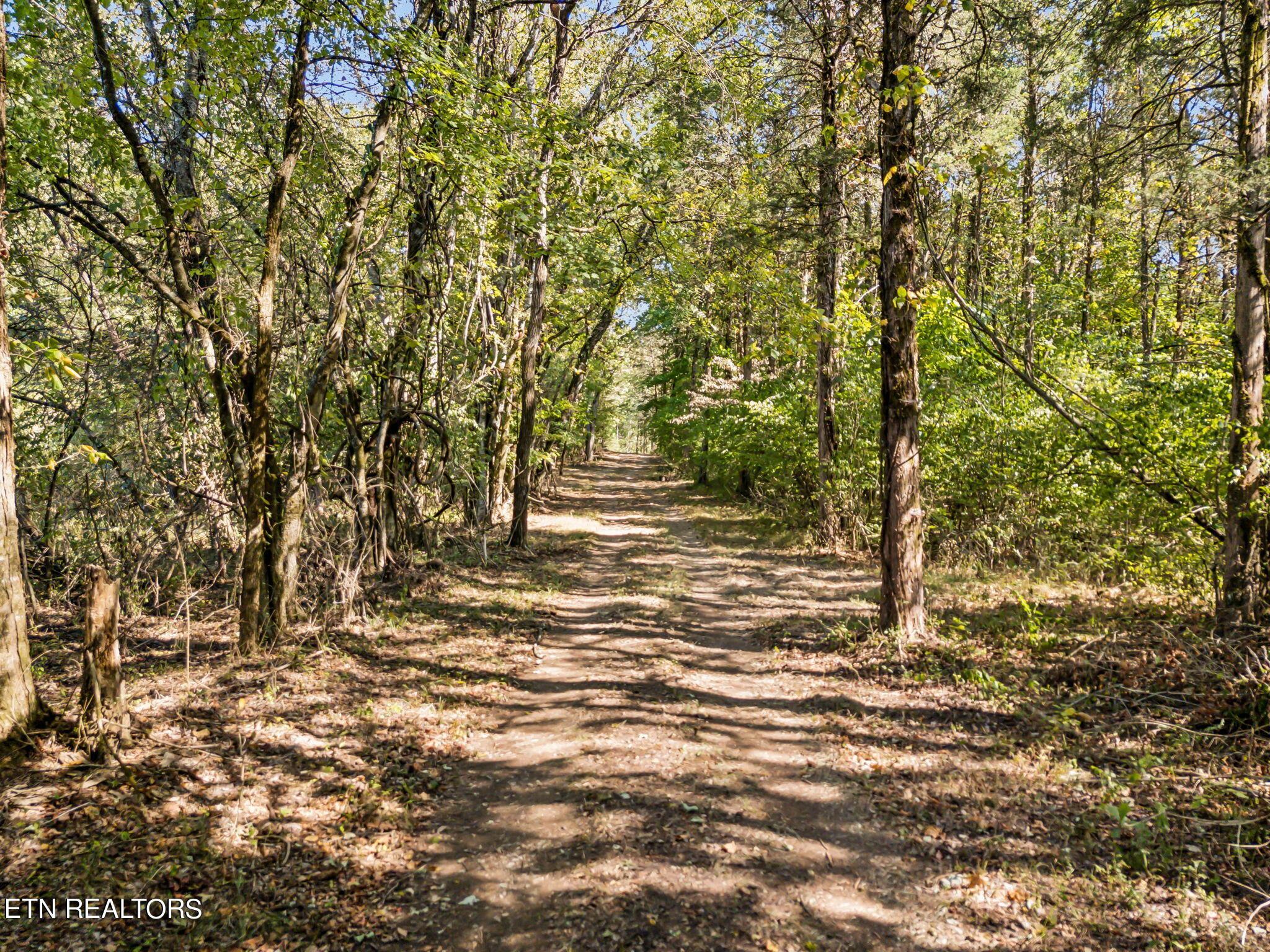 Fort Loudoun and Tellico Lake Real Estate - Image# 30