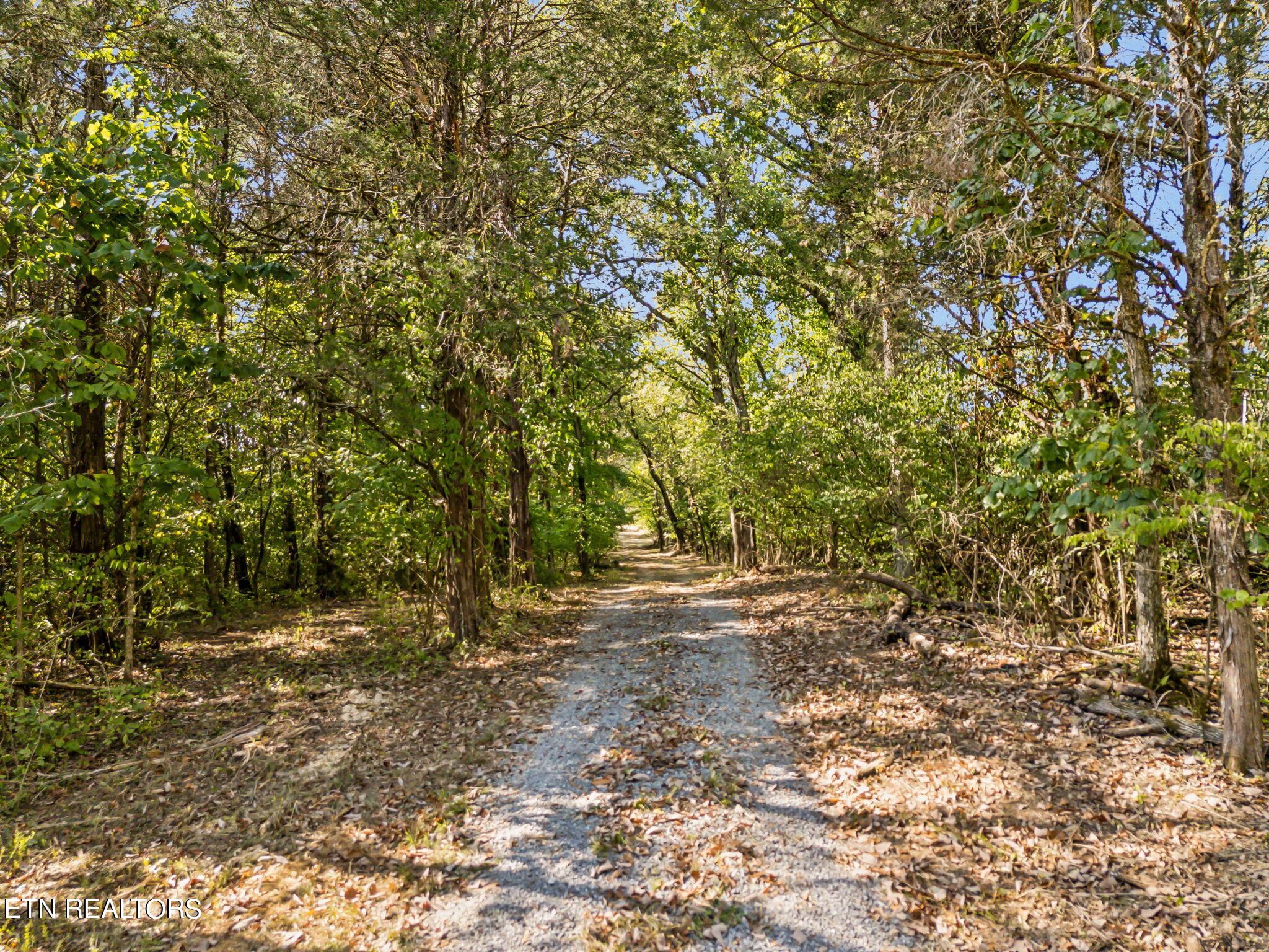 Fort Loudoun and Tellico Lake Real Estate - Image# 33