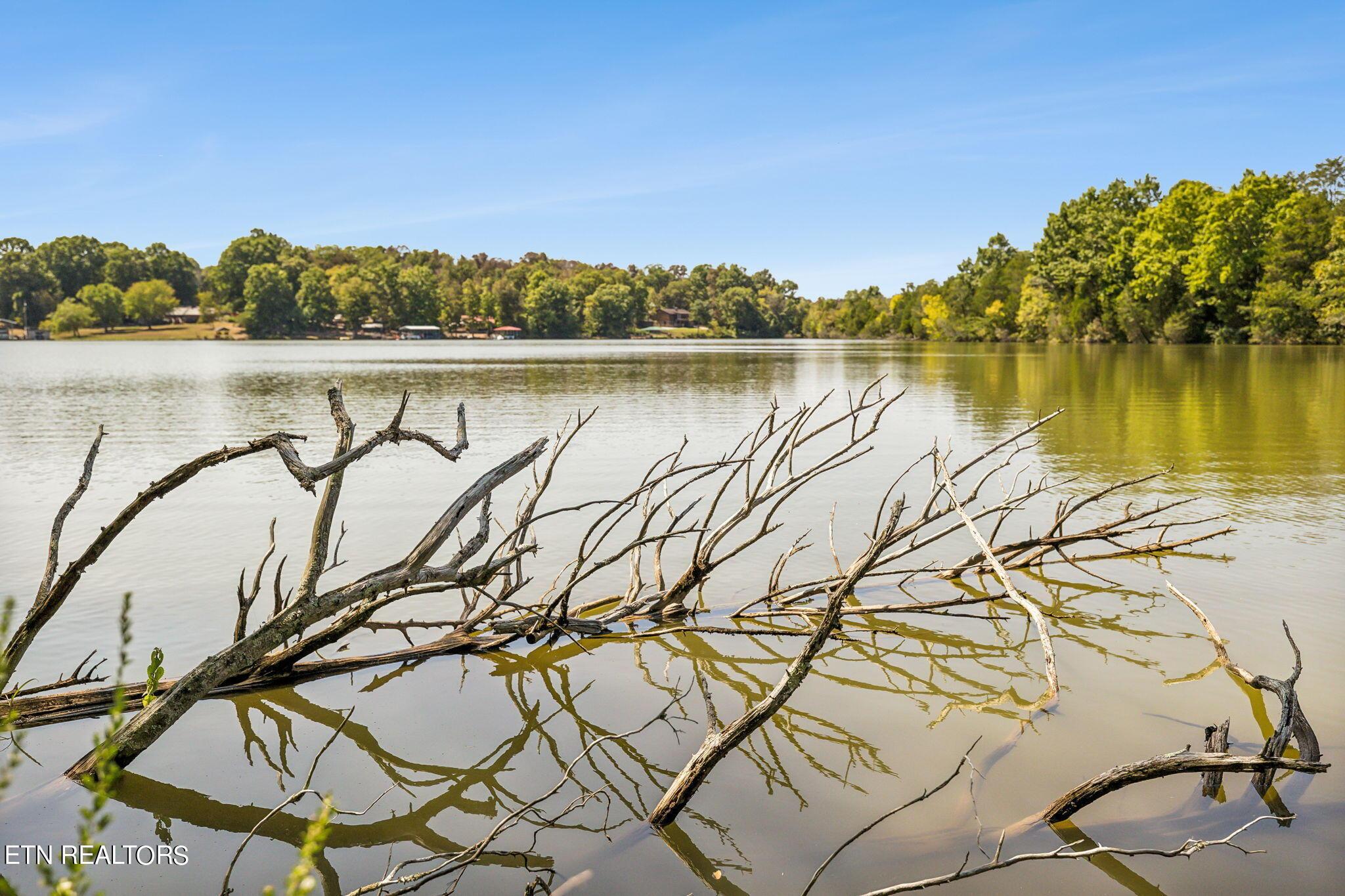 Fort Loudoun and Tellico Lake Real Estate - Image# 35