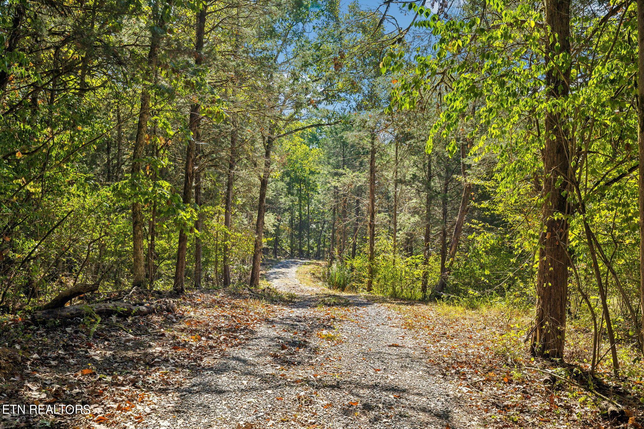 Fort Loudoun and Tellico Lake Real Estate - Image# 38