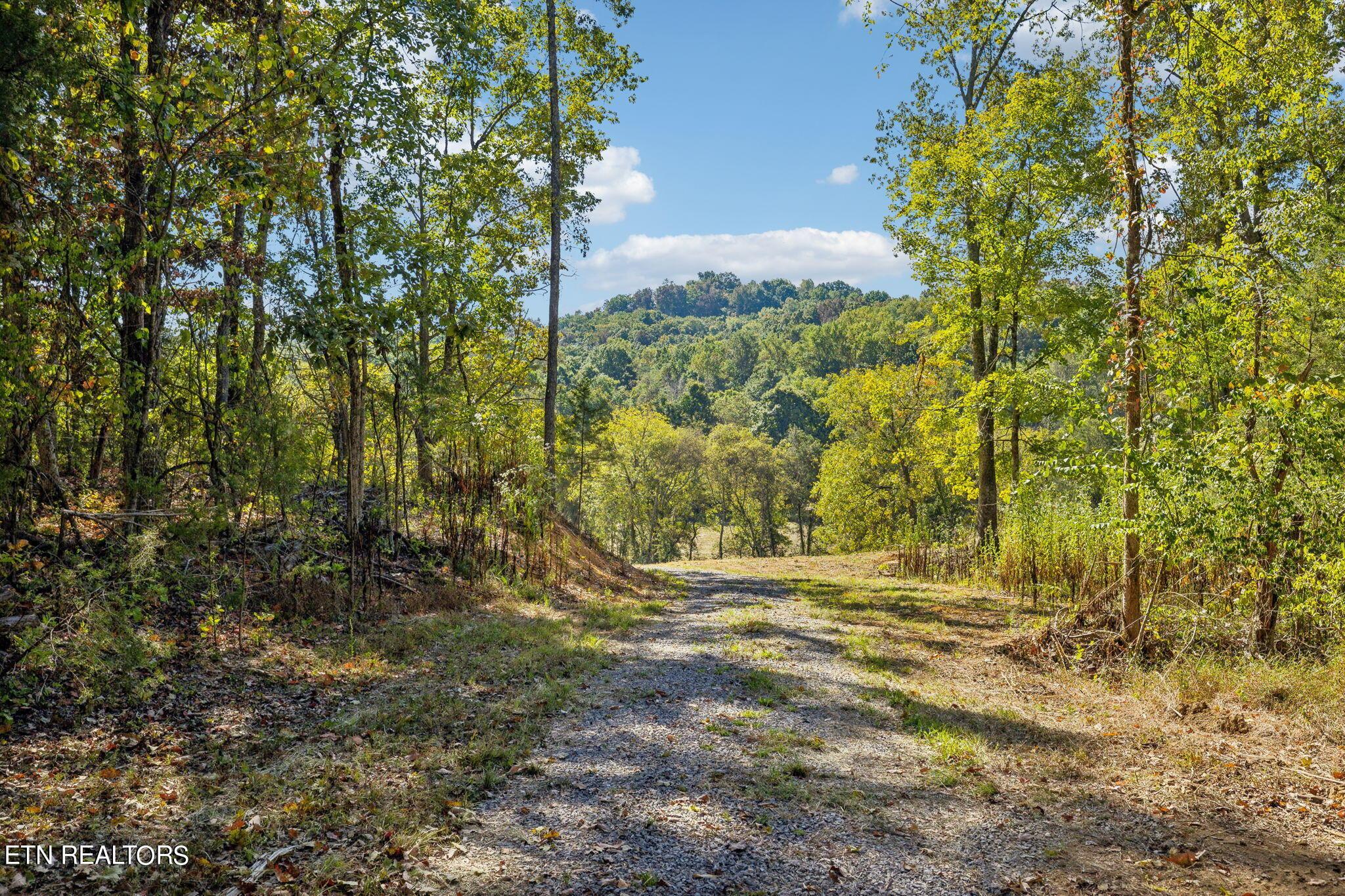 Fort Loudoun and Tellico Lake Real Estate - Image# 39