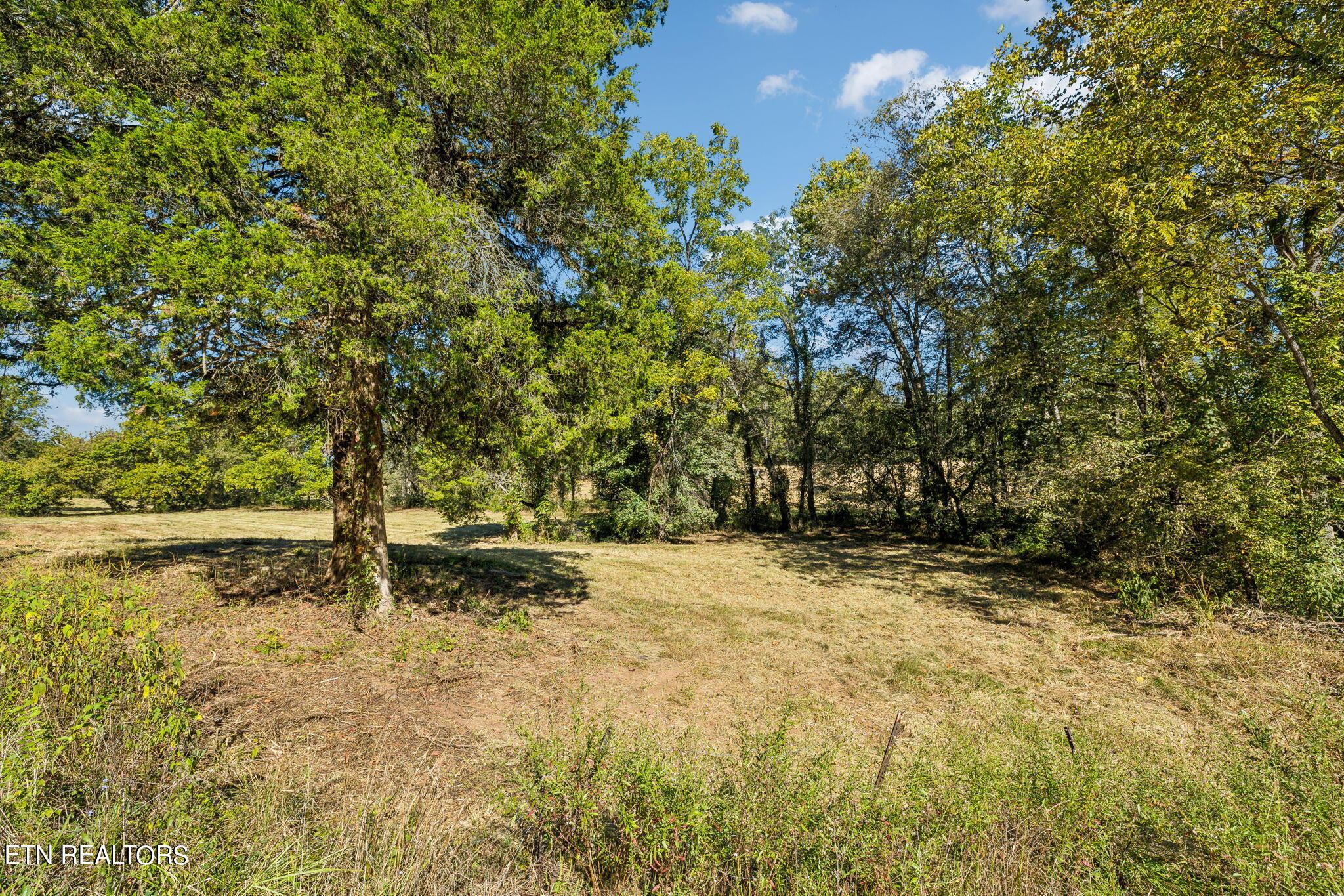 Fort Loudoun and Tellico Lake Real Estate - Image# 43