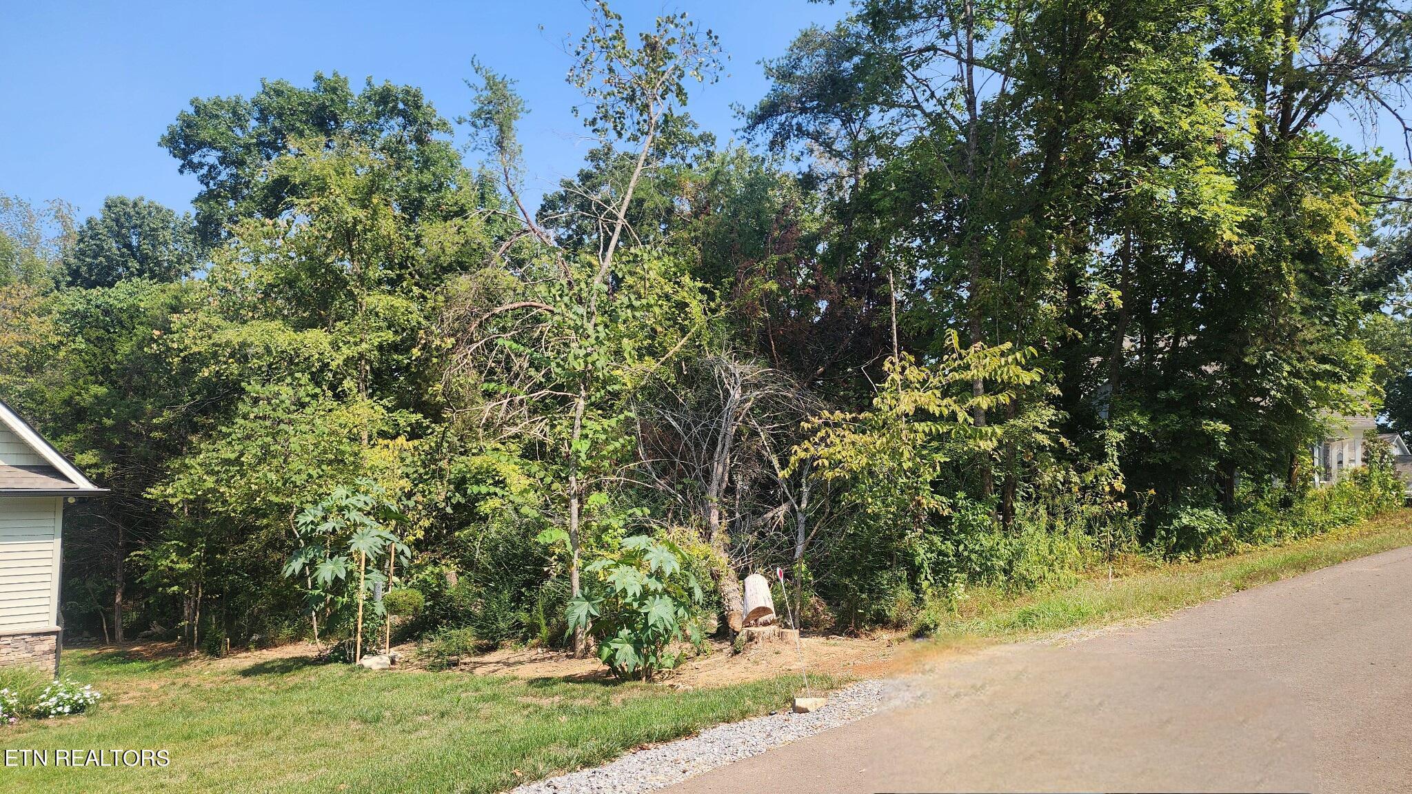 Fort Loudoun and Tellico Lake Real Estate - Image# 1