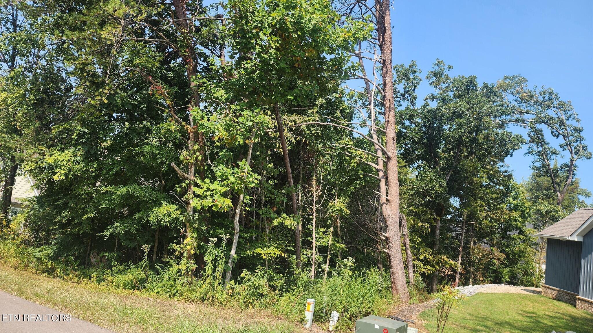 Fort Loudoun and Tellico Lake Real Estate - Image# 2