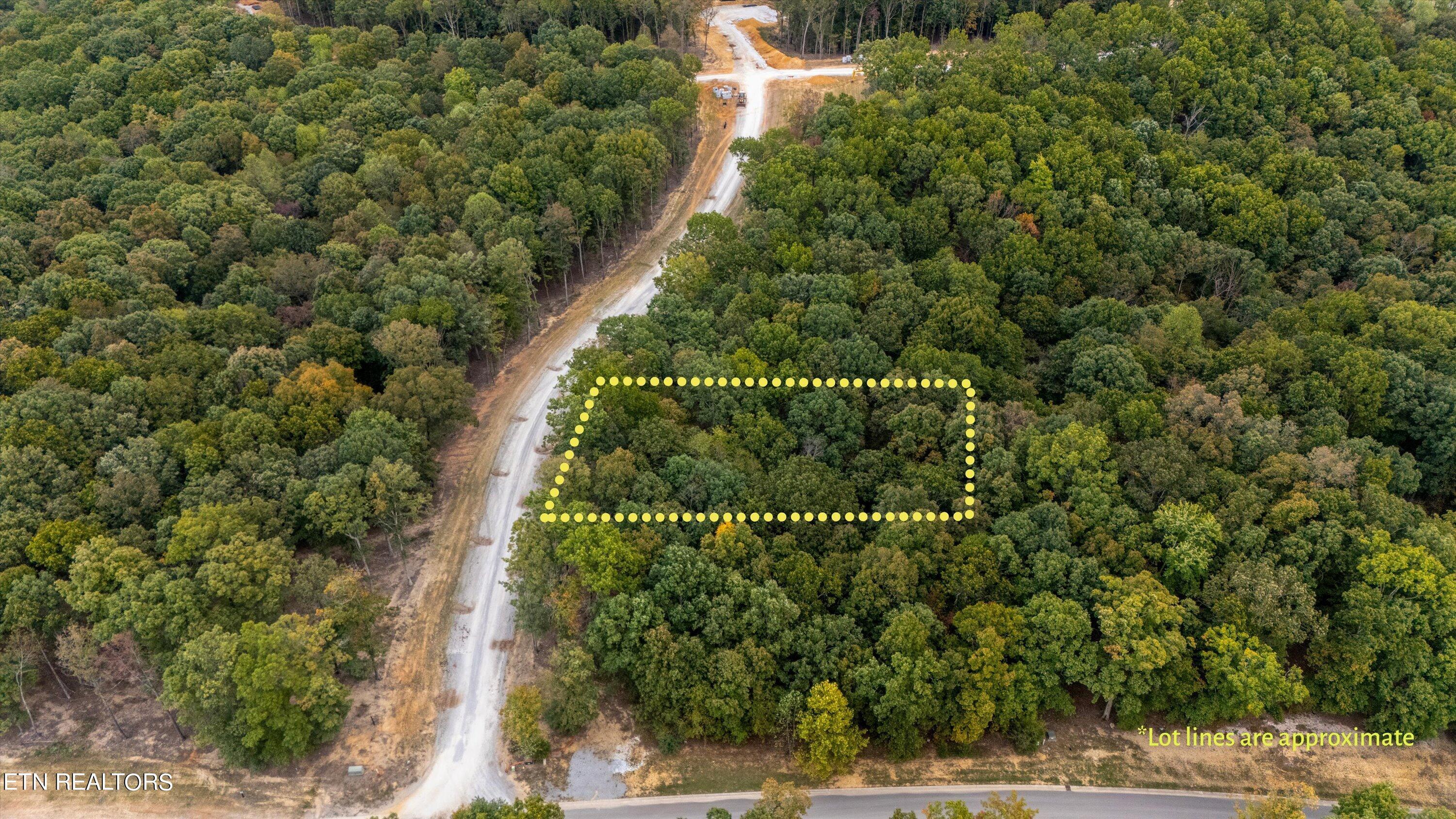 Fort Loudoun and Tellico Lake Real Estate - Image# 2