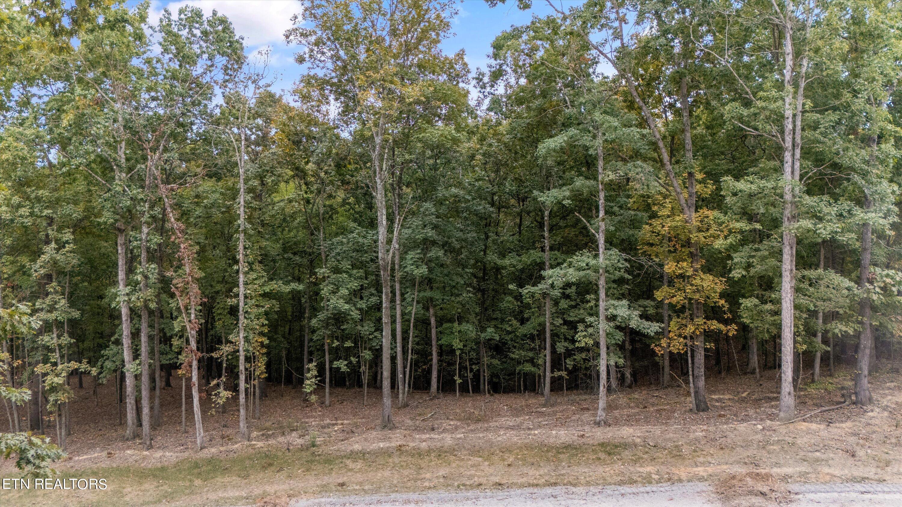 Fort Loudoun and Tellico Lake Real Estate - Image# 3