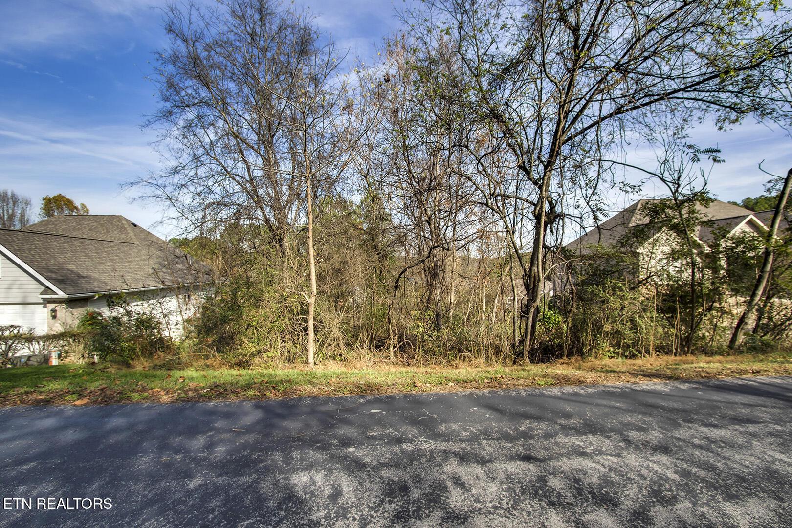 Fort Loudoun and Tellico Lake Real Estate - Image# 2