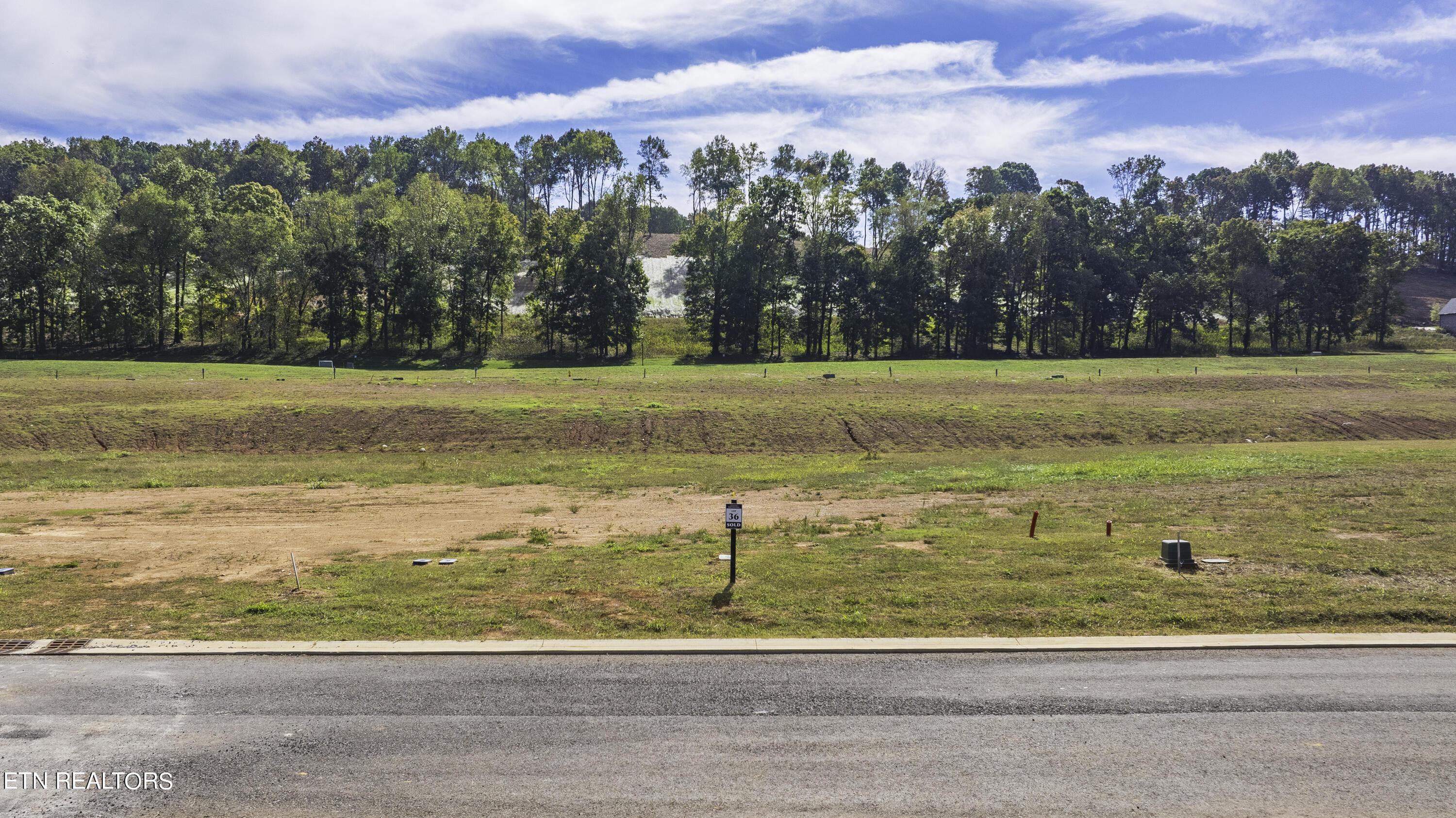 Fort Loudoun and Tellico Lake Real Estate - Image# 7