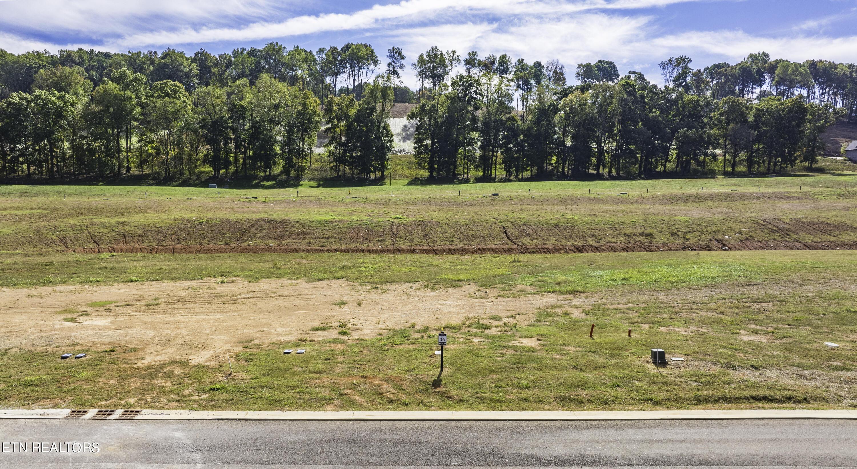 Fort Loudoun and Tellico Lake Real Estate - Image# 9