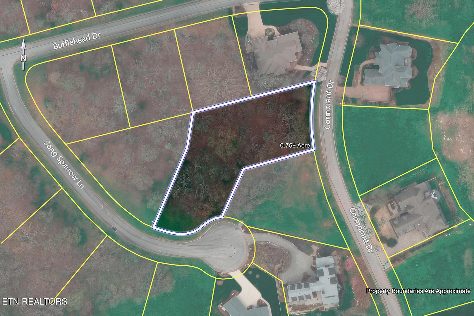 Fort Loudoun and Tellico Lake Real Estate - Image# 23