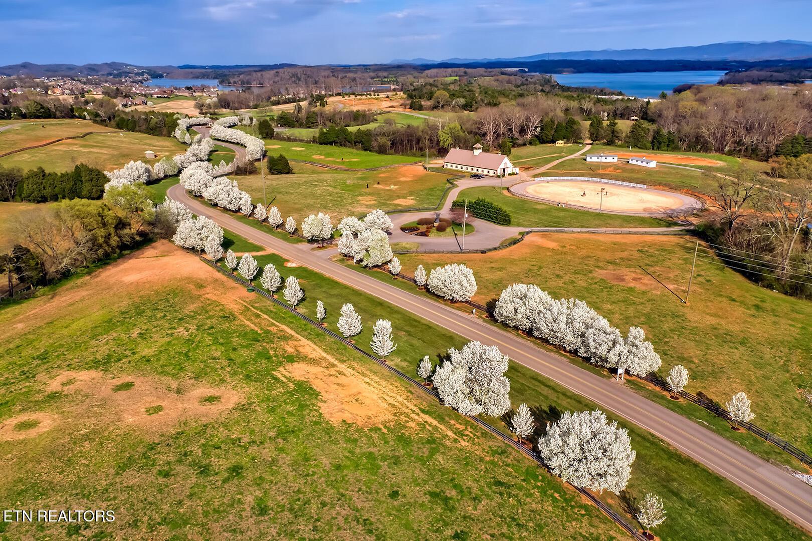 Fort Loudoun and Tellico Lake Real Estate - Image# 26