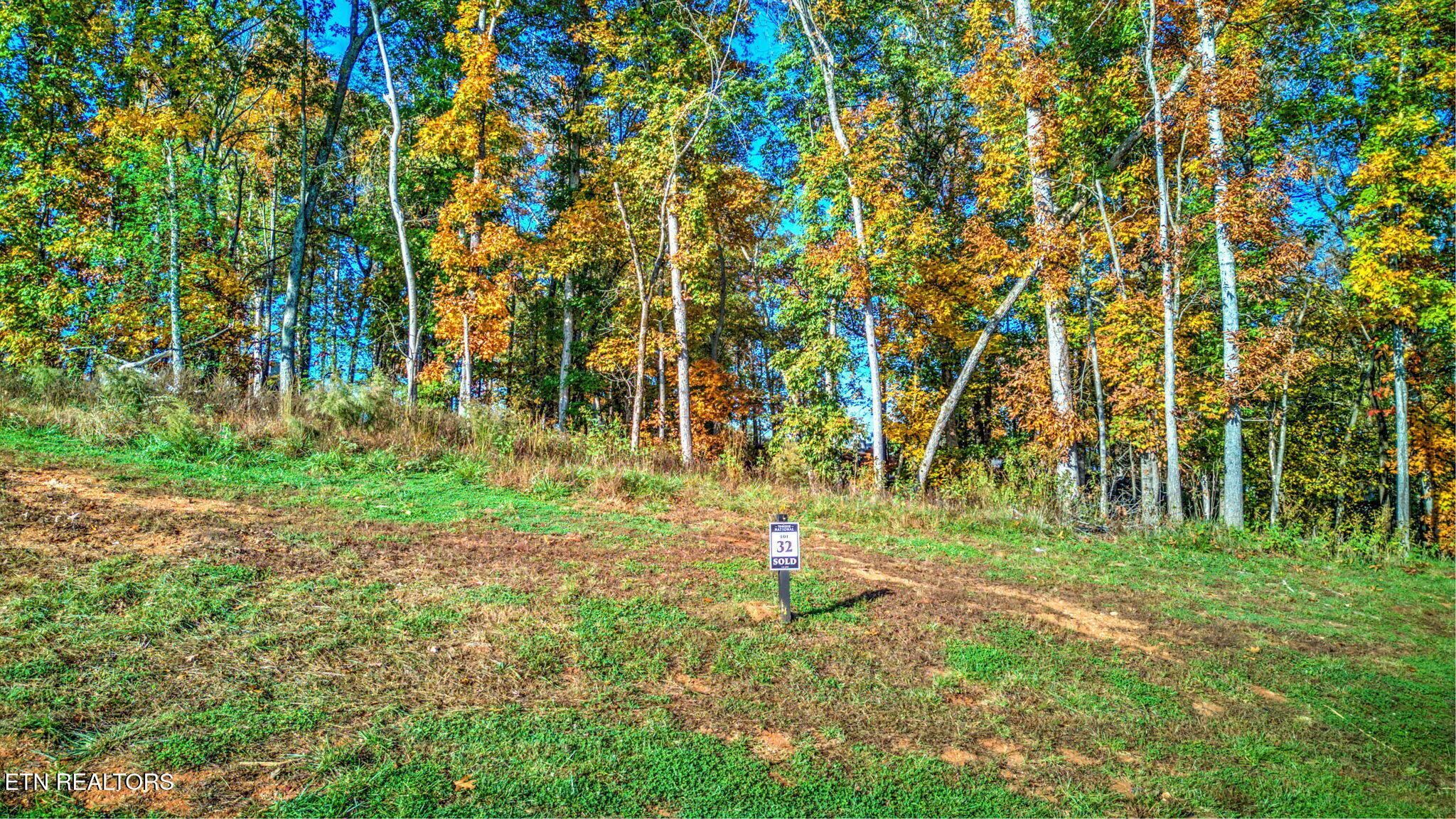 Fort Loudoun and Tellico Lake Real Estate - Image# 6