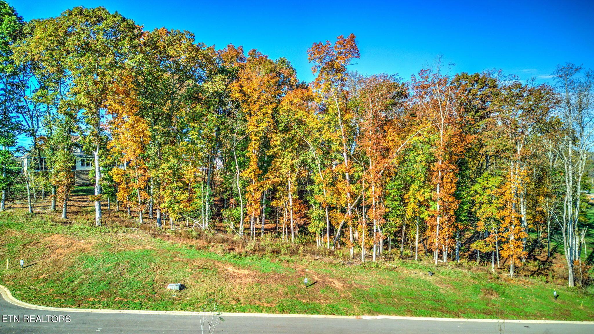 Fort Loudoun and Tellico Lake Real Estate - Image# 4